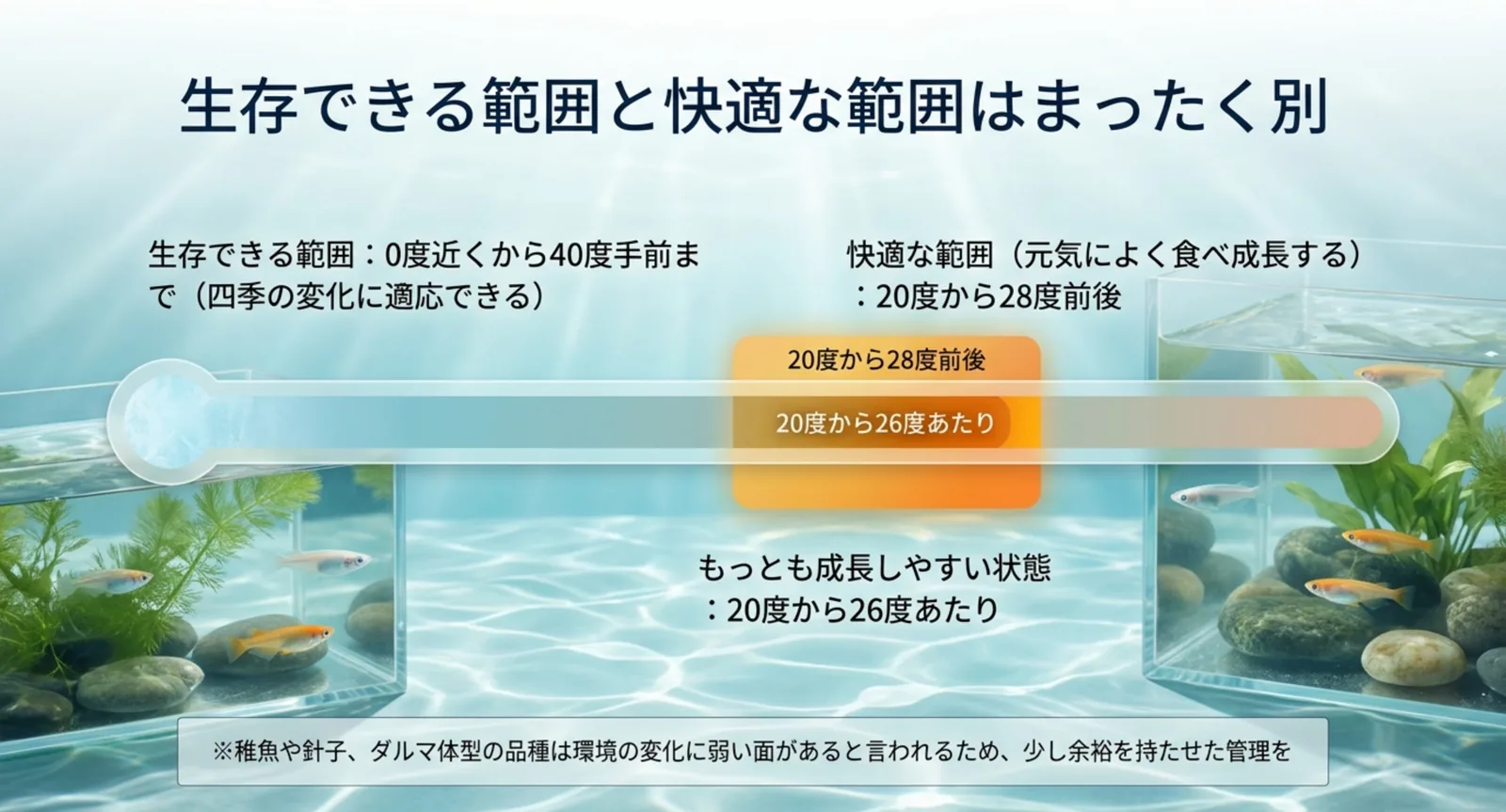 0度近くから40度手前という生存範囲と、20度から28度前後という快適な範囲を温度計の図で対比したスライド