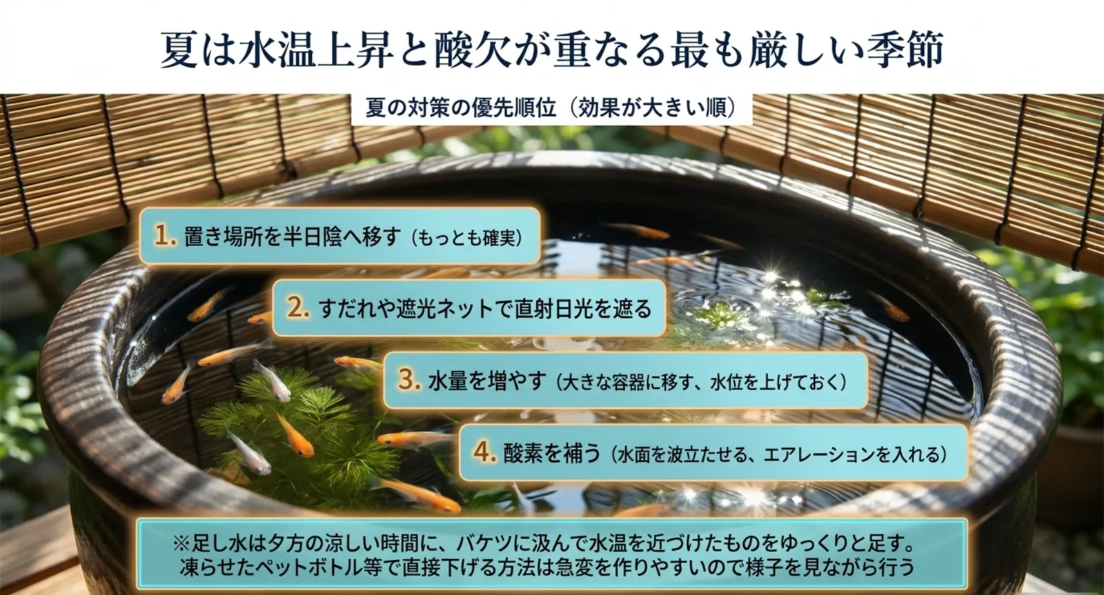 置き場所を半日陰へ移す・日よけ・水量を増やす・酸素を補うという夏の対策を効果の大きい順に並べたスライド