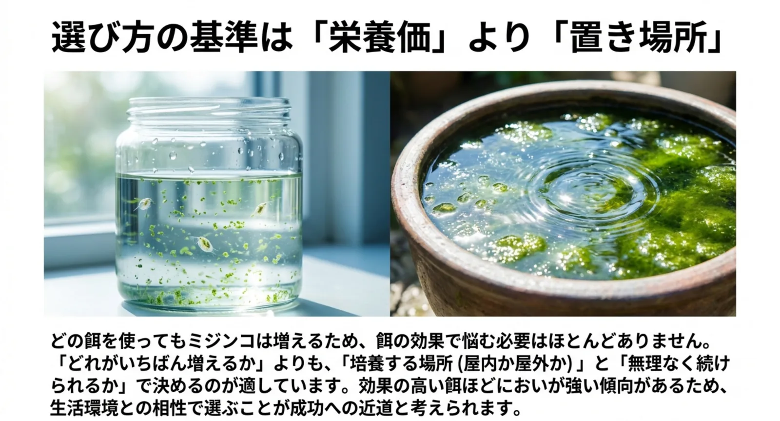 屋内の小さな容器と屋外の睡蓮鉢を並べ、餌選びの基準が置き場所と続けやすさであることを示したスライド