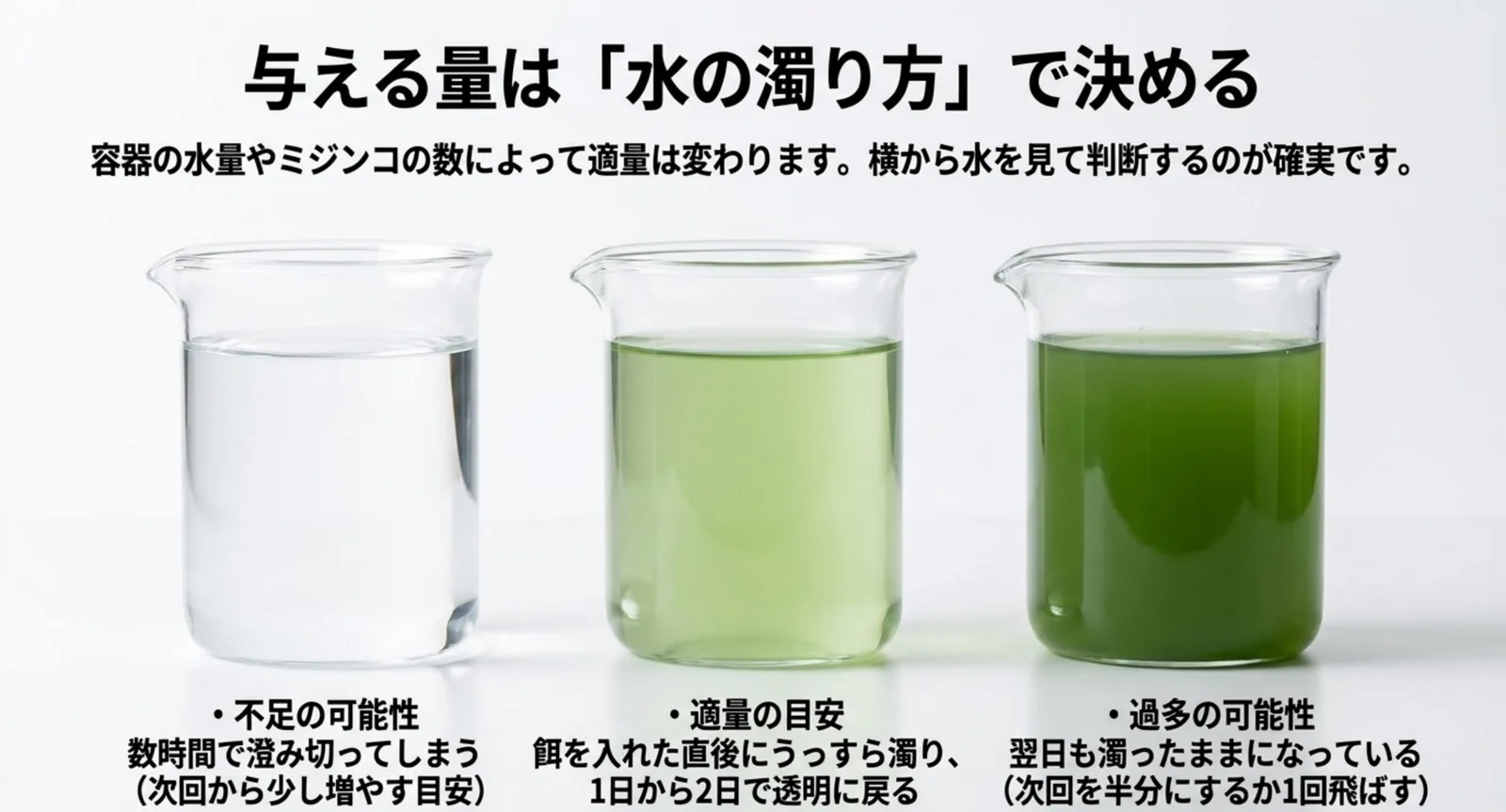 透明・薄い緑・濃い緑の3つのビーカーを並べ、餌が不足・適量・過多のどれかを判定する目安を示したスライド