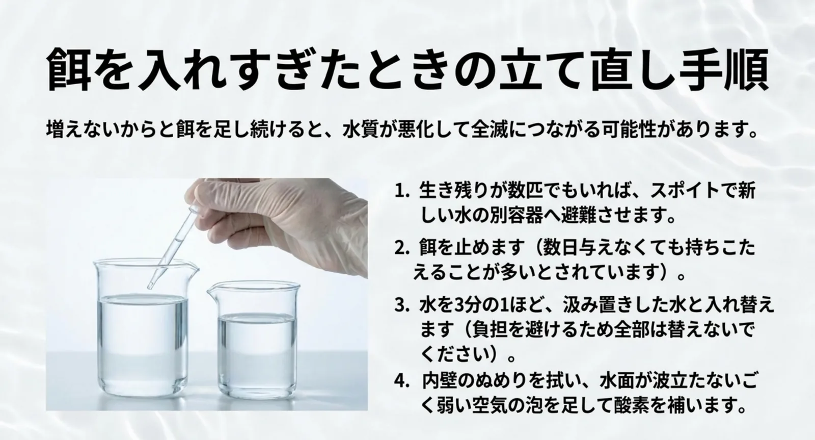 生き残りの避難から給餌の停止、3分の1の換水、酸素の補給までの立て直し手順を並べたスライド