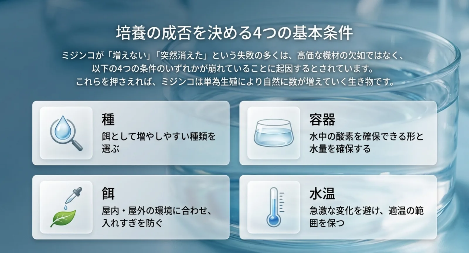 種・容器・餌・水温という4つの基本条件を並べて示したスライド