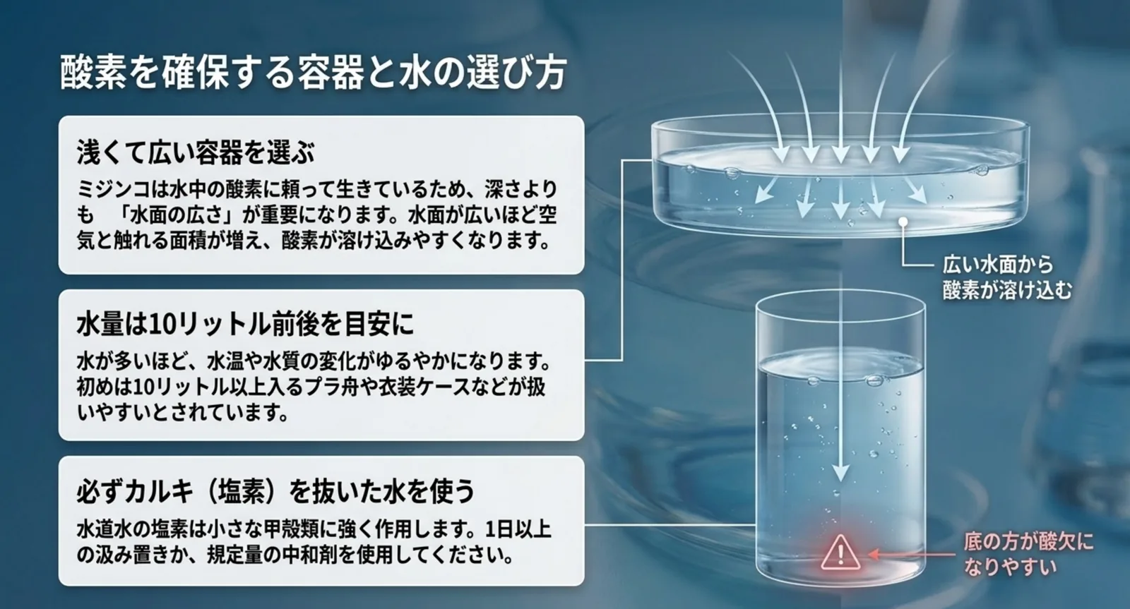 浅くて広い容器・水量10リットル前後・カルキを抜いた水という3つのポイントを図解したスライド