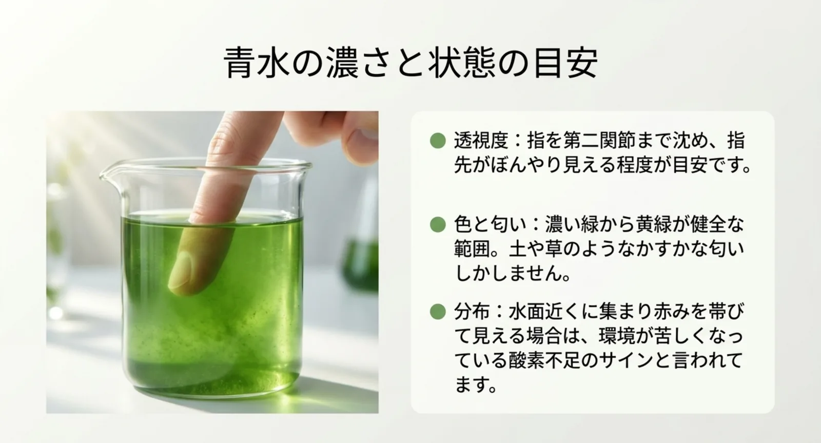 指を第二関節まで沈めて指先がぼんやり見える濃さ、健全な色と匂い、ミジンコが水面に集まるサインを示した図