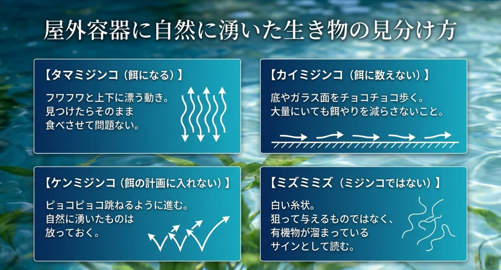 タマミジンコは漂う、カイミジンコは歩く、ケンミジンコは跳ねる、ミズミミズは糸状という動き方の違いを図で示した比較