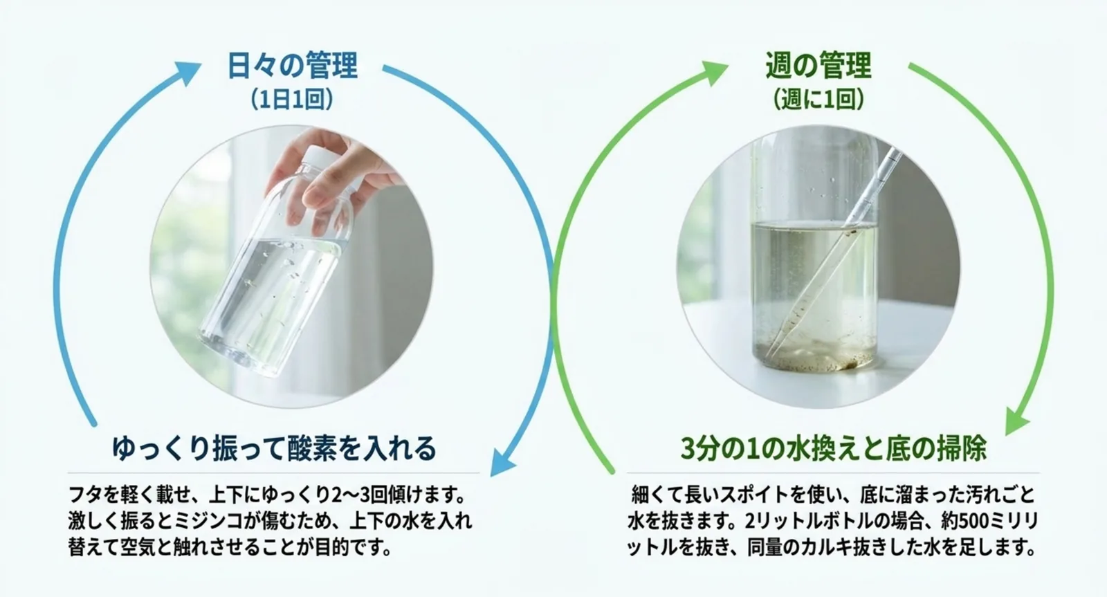 1日1回ゆっくり傾けて酸素を入れる作業と、週1回3分の1の水換えと底の掃除を並べて示したスライド
