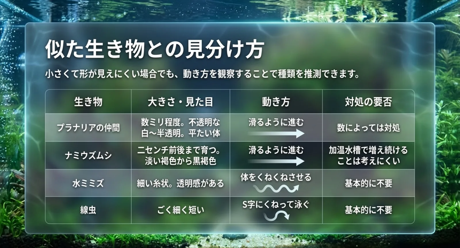 大きさと見た目と動き方で四種類の生き物を比べた比較表のスライド