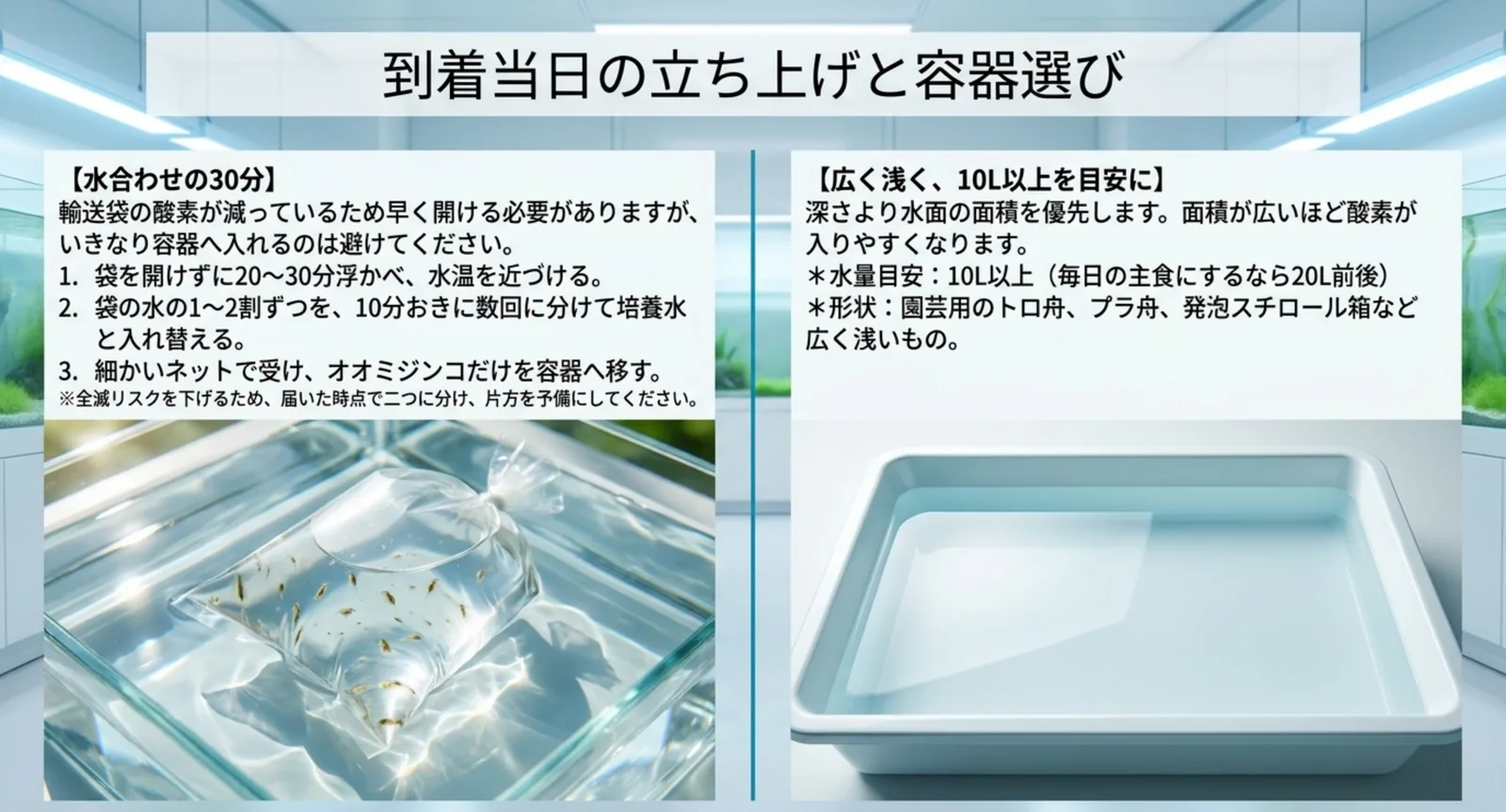 種オオミジンコが届いた当日の水合わせ3手順と、広く浅い10L以上の容器を選ぶ目安をまとめたスライド