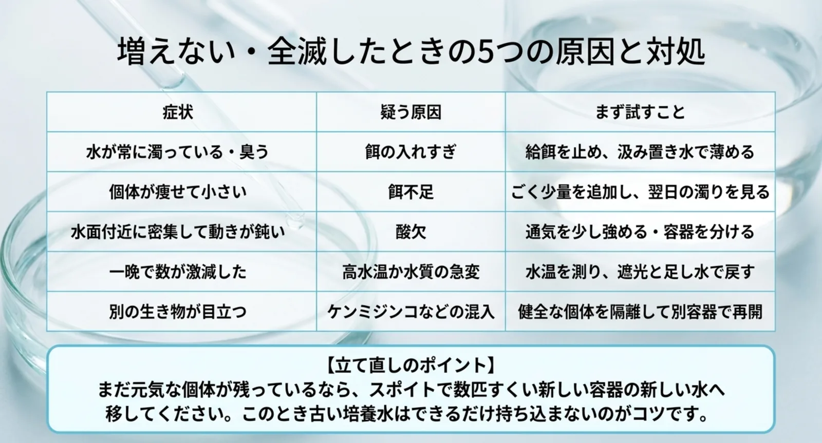 水が濁る・個体が痩せる・水面に密集するなどの症状ごとに、疑う原因と最初に試すことを並べた表のスライド
