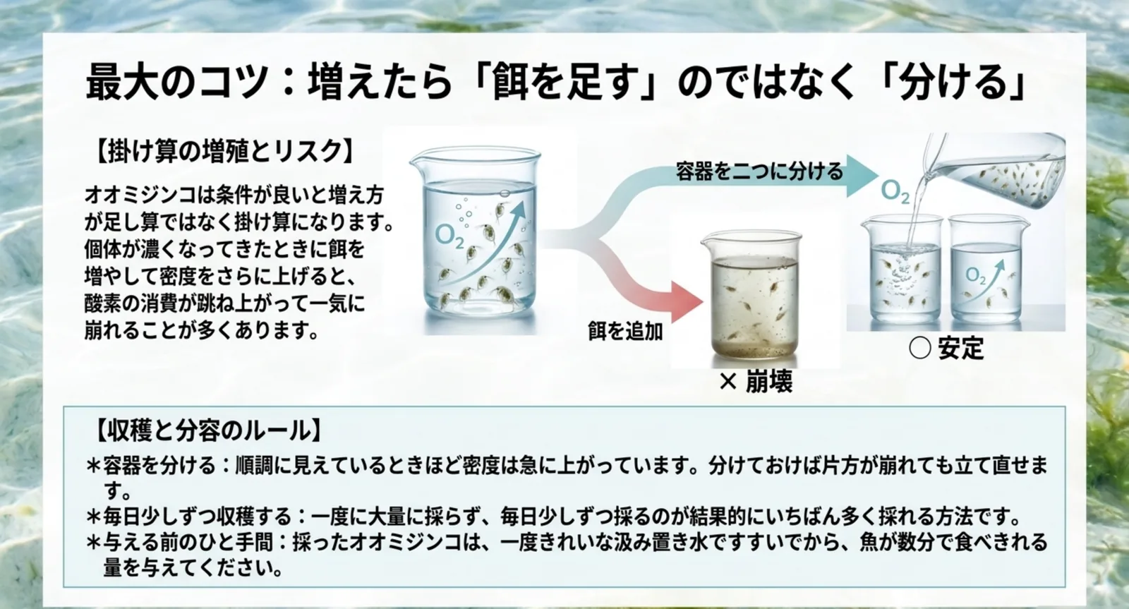 餌を追加すると崩れ、容器を二つに分けると安定するという分容の考え方を図解したスライド