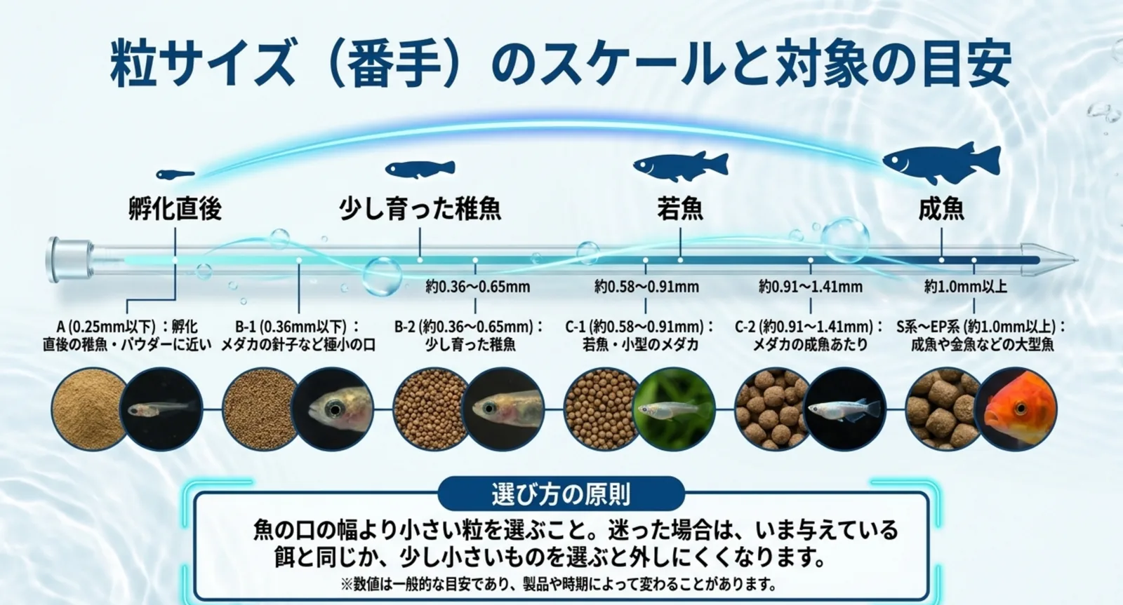 A・B1・B2・C1・C2・S系という番手ごとの粒径と、孵化直後から成魚までの対象魚を並べて示したスライド