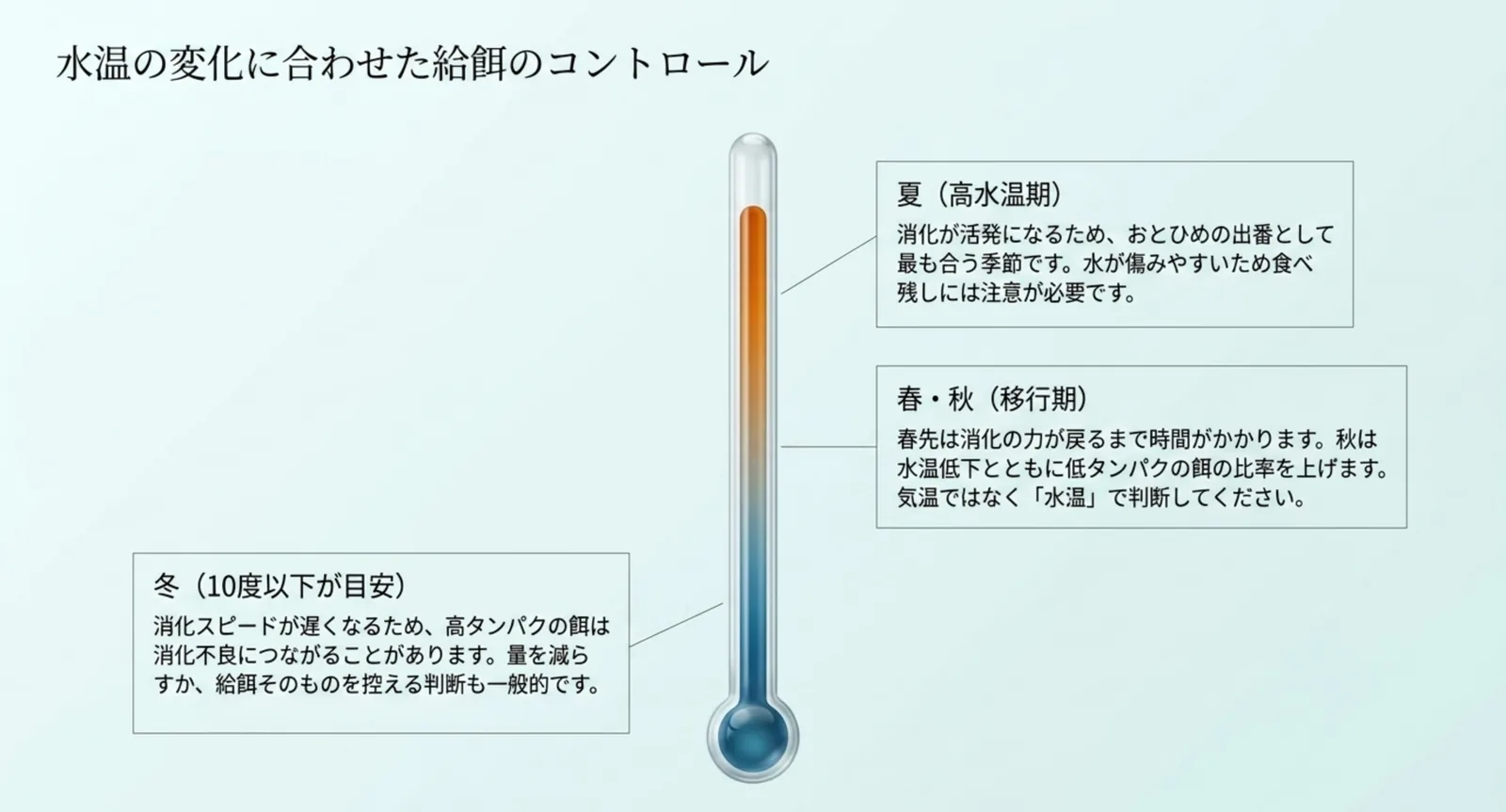 夏・春秋・冬の水温帯ごとにおとひめの与え方をどう変えるかを温度計の図で示したスライド