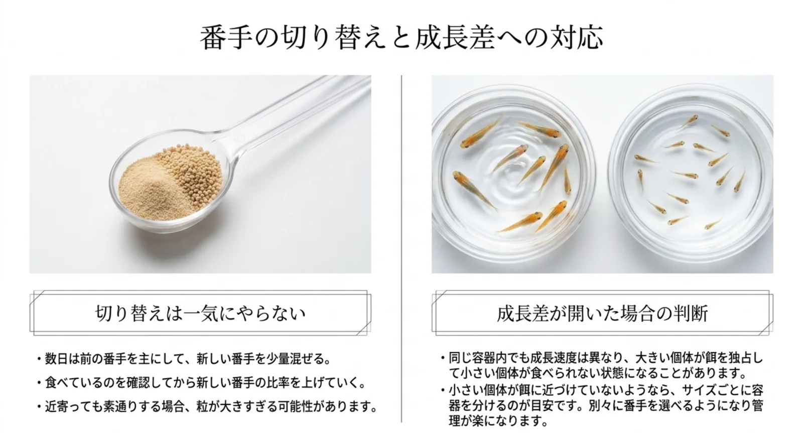 前の番手と混ぜながら切り替える手順と、成長差が開いたときに容器を分ける判断を並べたスライド