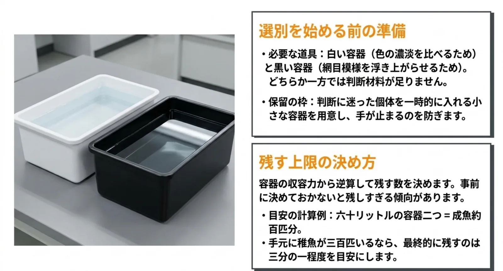 白い容器と黒い容器の使い分け、保留の枠の用意、容器の収容力から残す数を逆算する考え方をまとめたスライド
