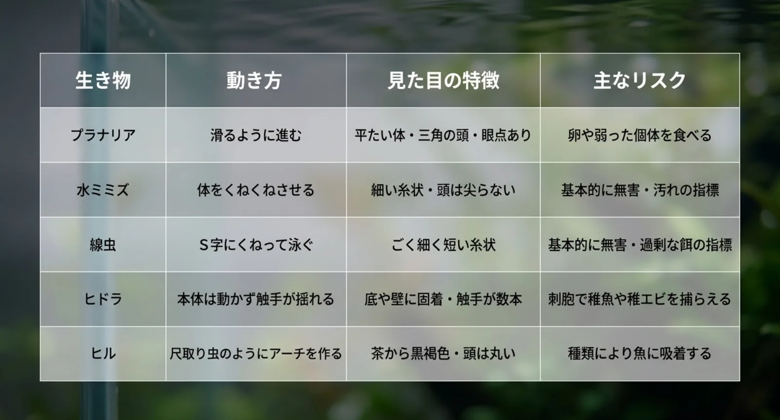 動き方と見た目の特徴で五種類の生き物を比べた比較表のスライド