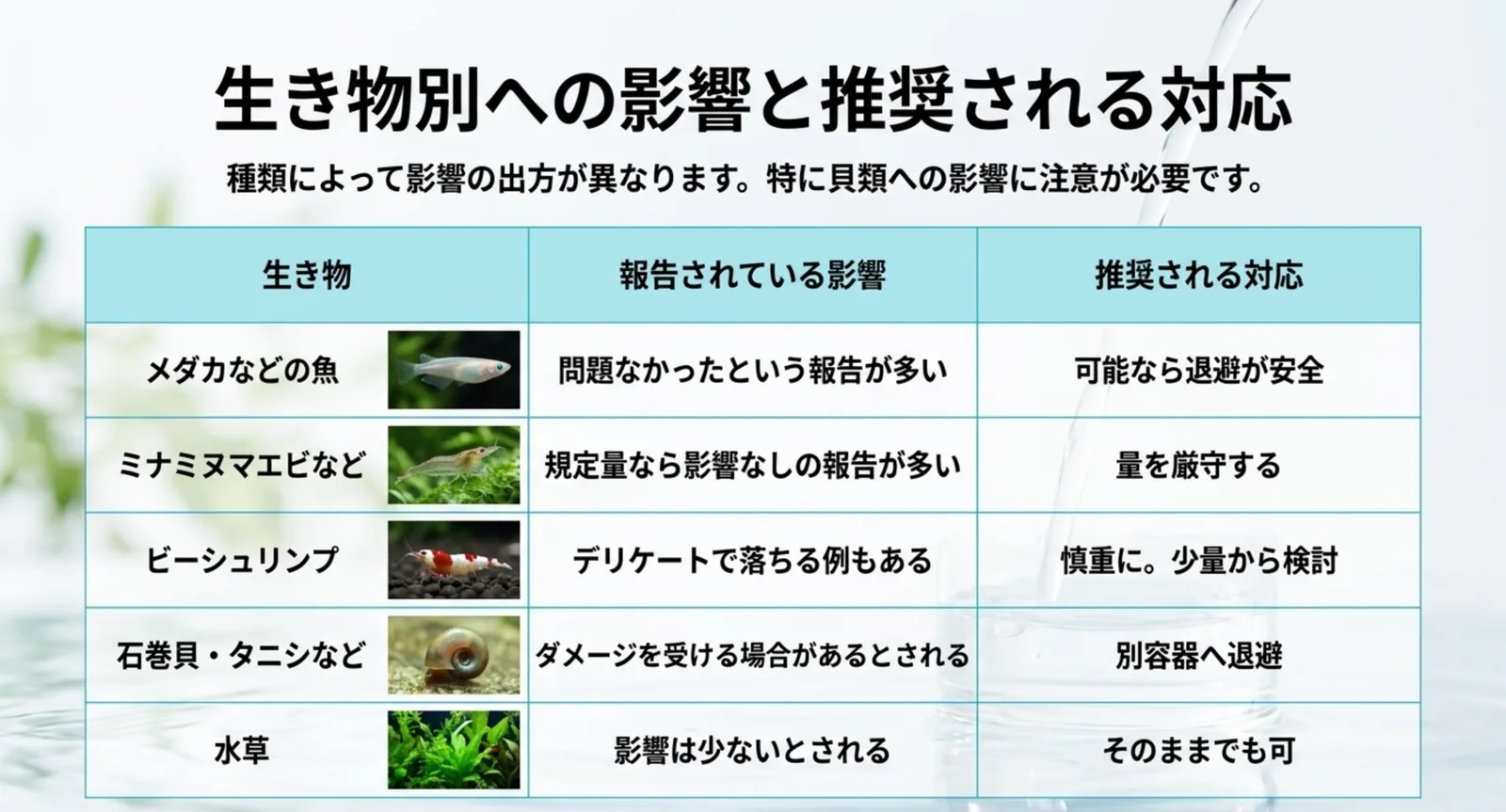 魚とエビと貝と水草それぞれの影響と対応を並べた比較表のスライド