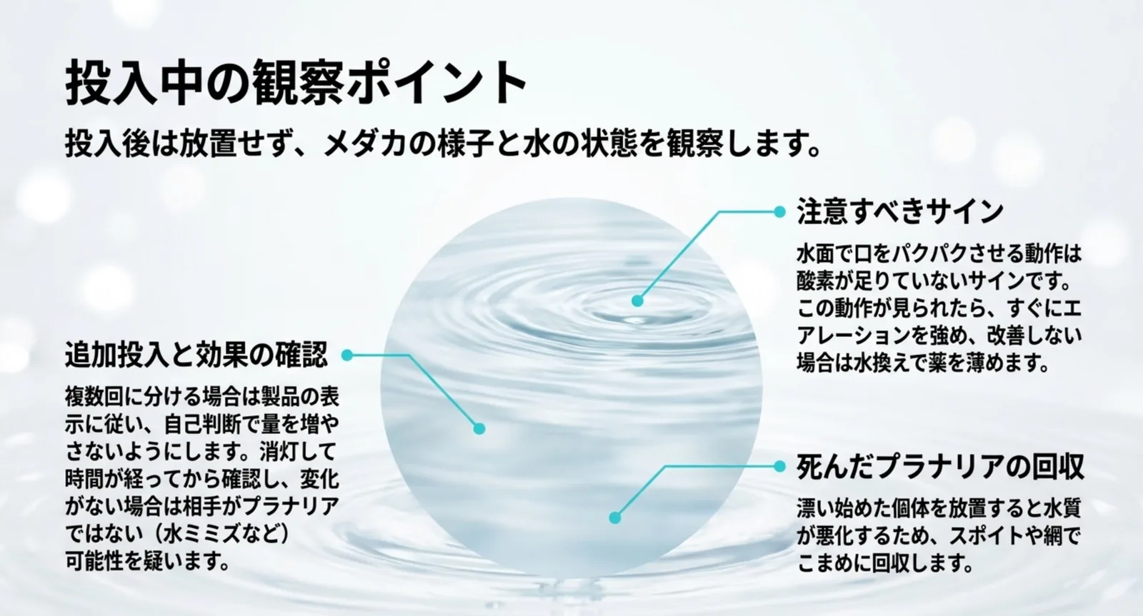 注意すべきサインと死骸の回収と追加投入の確認を示した図のスライド