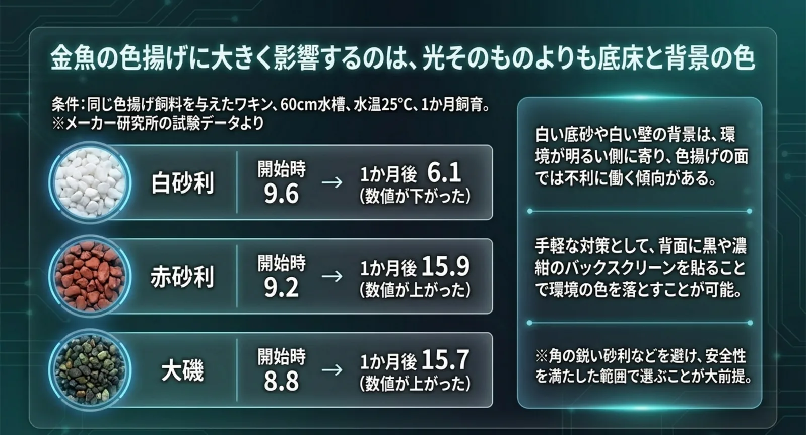 同じ色揚げ飼料を与えた条件で白砂利・赤砂利・大磯の1か月後の赤色数値を比較し、白い環境が不利に働くことを示したスライド