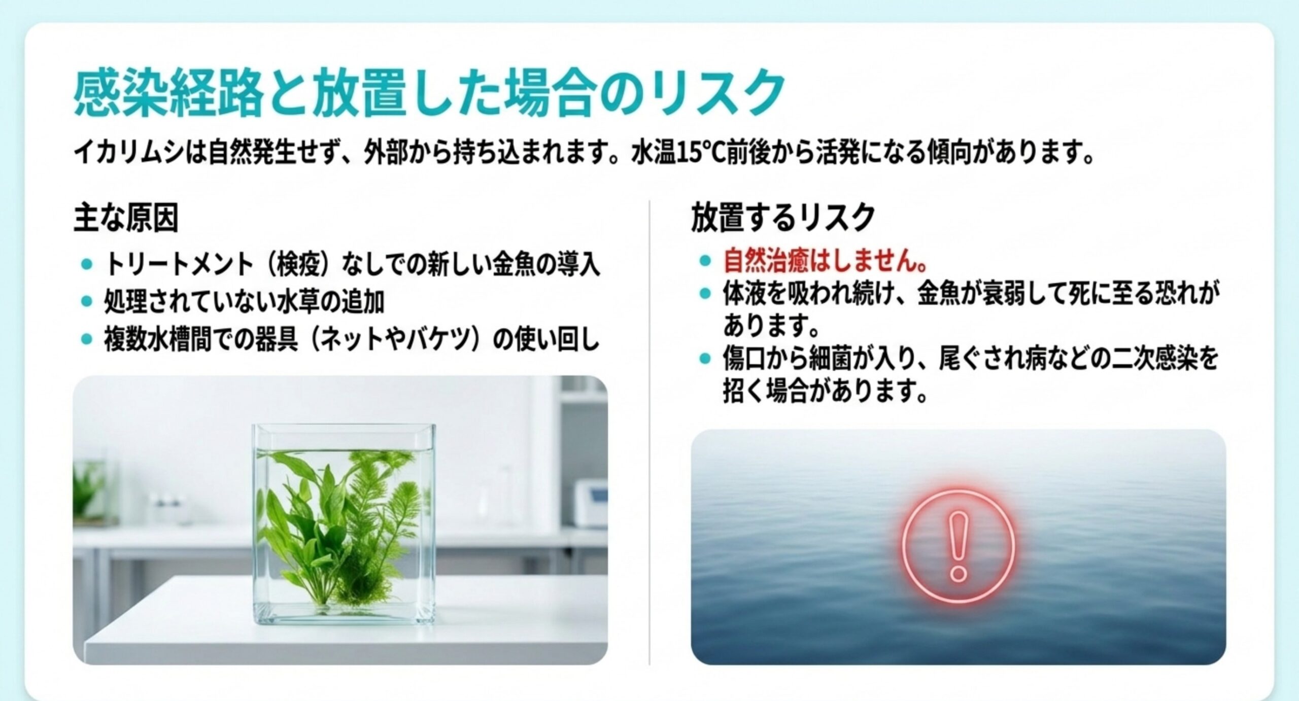 感染経路と放置のリスク 新しい金魚や水草、器具の使い回しという感染経路と、放置した場合に衰弱や二次感染につながるリスクを並べたスライド