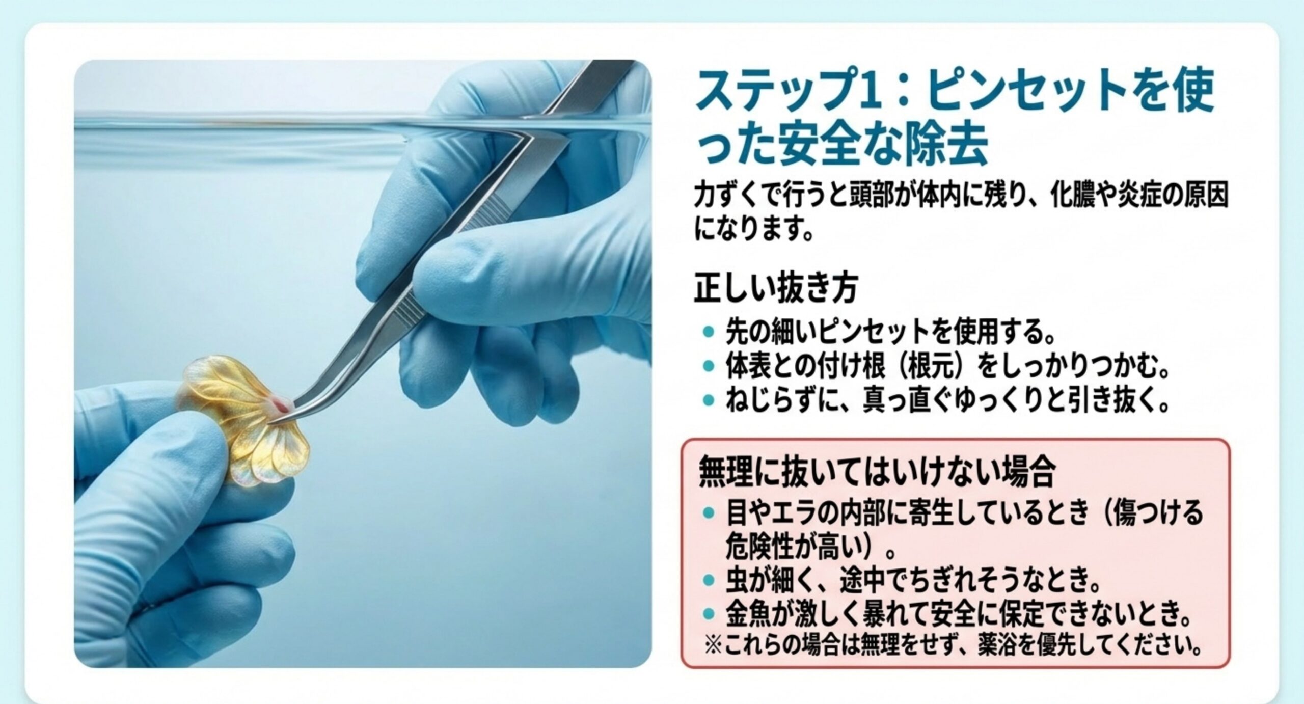 ピンセットでの安全な除去 先の細いピンセットで根元をつかみ真っ直ぐ引き抜く手順と、目やエラの内部など無理に抜いてはいけない場合を示したスライド