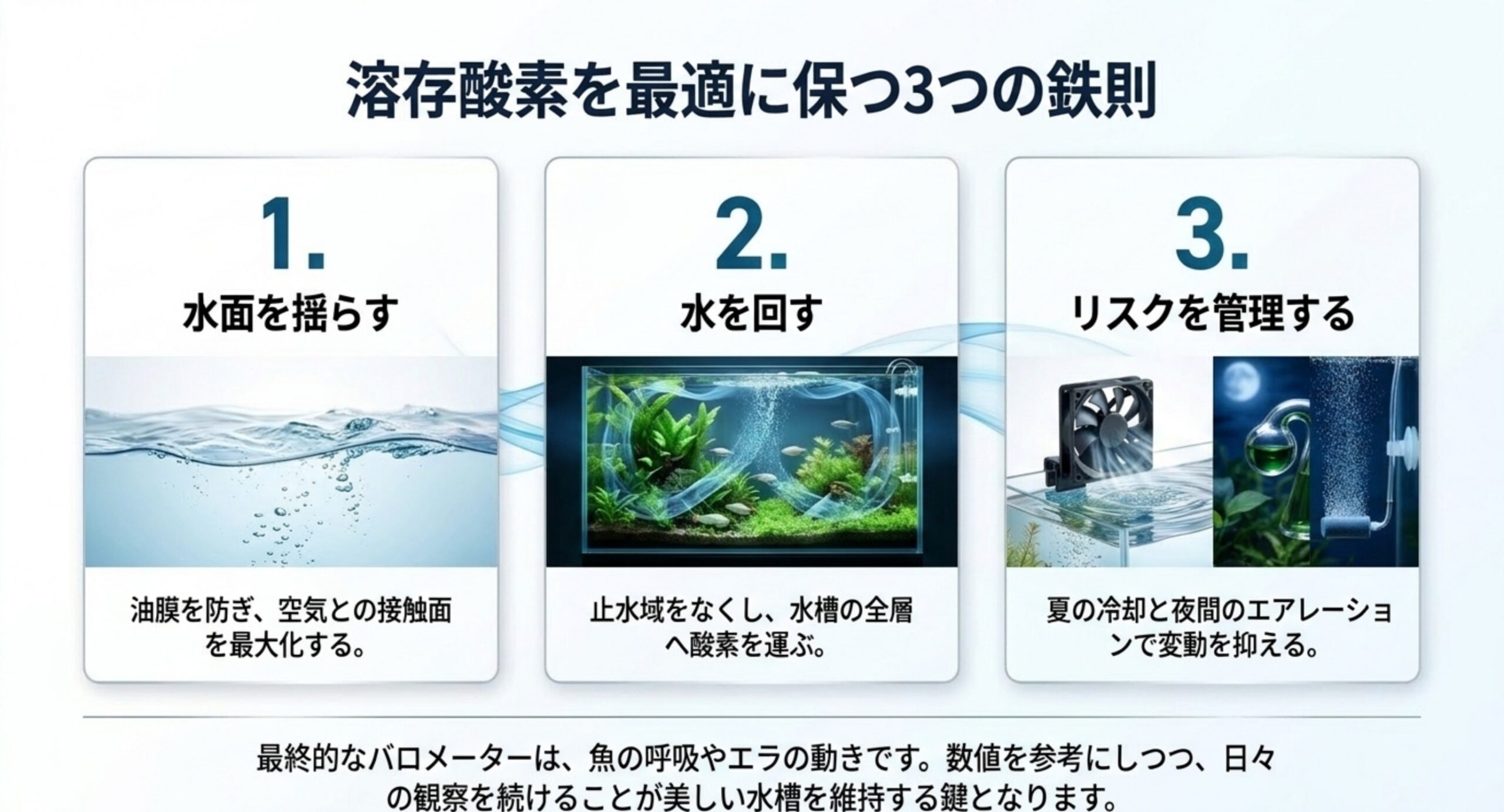 溶存酸素を保つ3つの要点 水面を揺らす・水を回す・リスクを管理するという、溶存酸素を最適に保つ3つの要点を並べたスライド