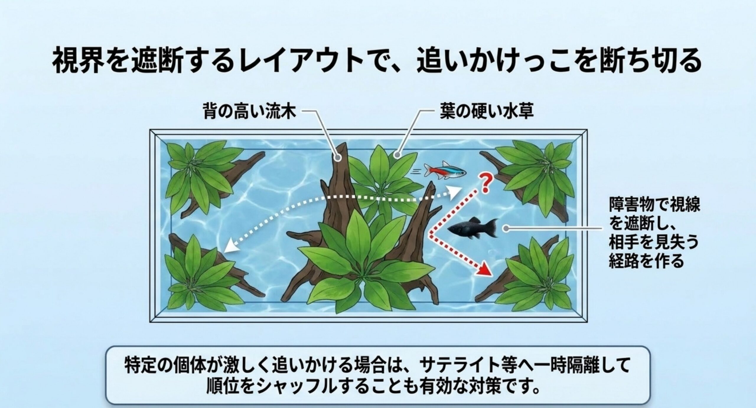 背の高い流木と葉の硬い水草で視線を遮り、追いかける魚が相手を見失う経路を作るレイアウトを図で示したスライド