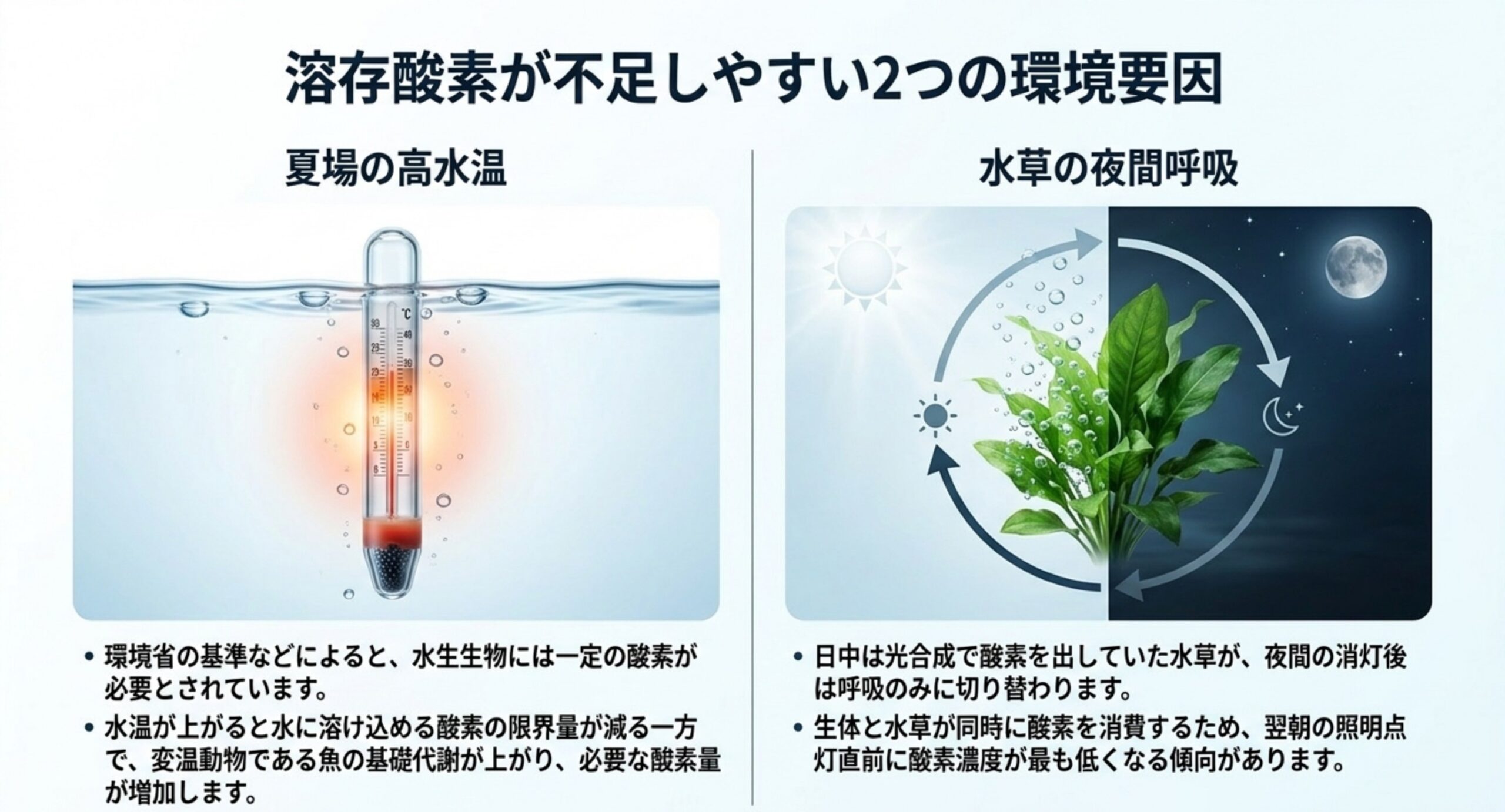 酸素が不足しやすい2つの要因 夏場の高水温と水草の夜間呼吸という、溶存酸素が不足しやすい2つの環境要因を左右に並べて説明したスライド