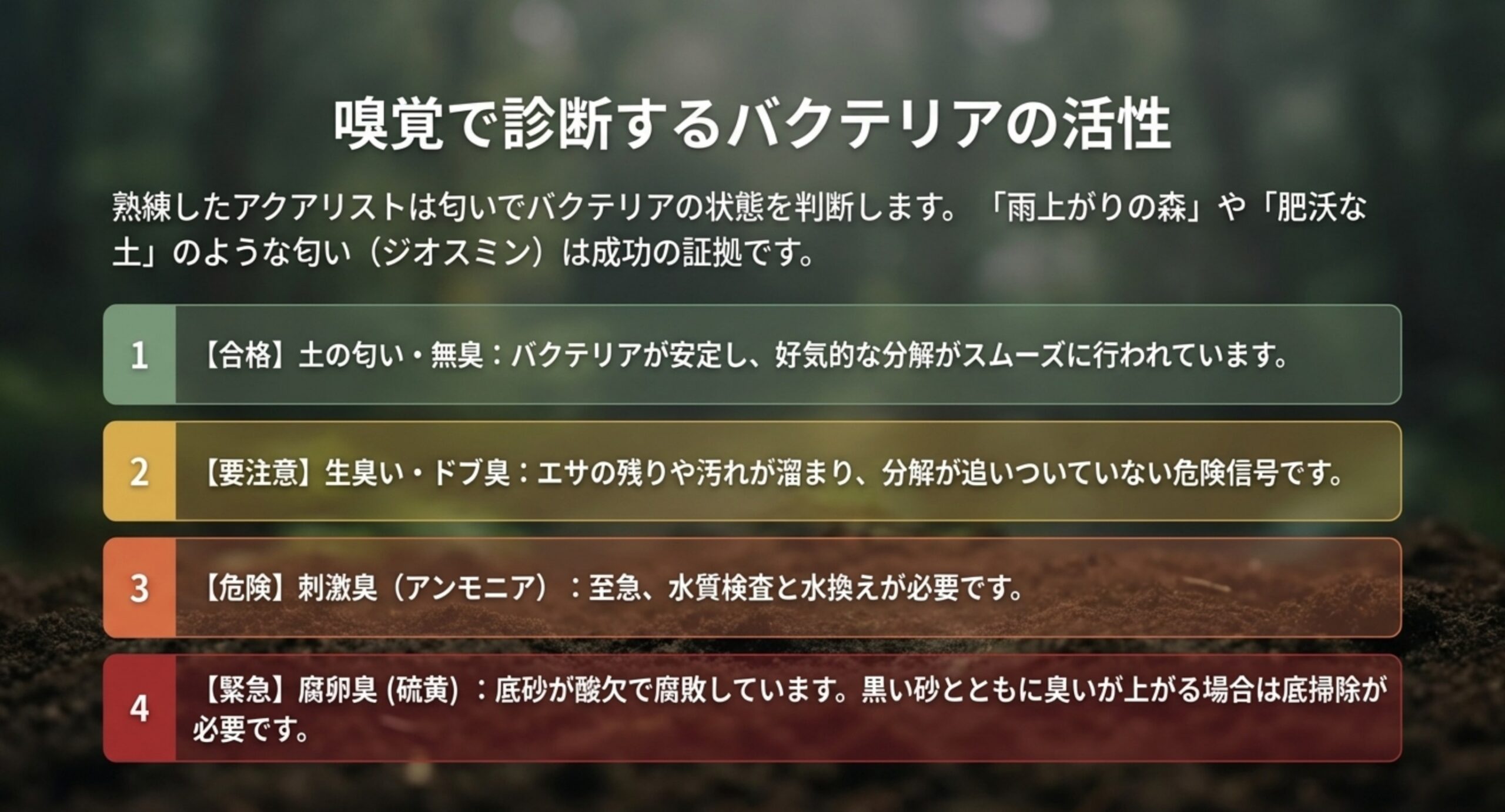土の匂い、生臭い、刺激臭、腐卵臭の4段階で水槽の状態を判定し、それぞれで取るべき対応を示したスライド