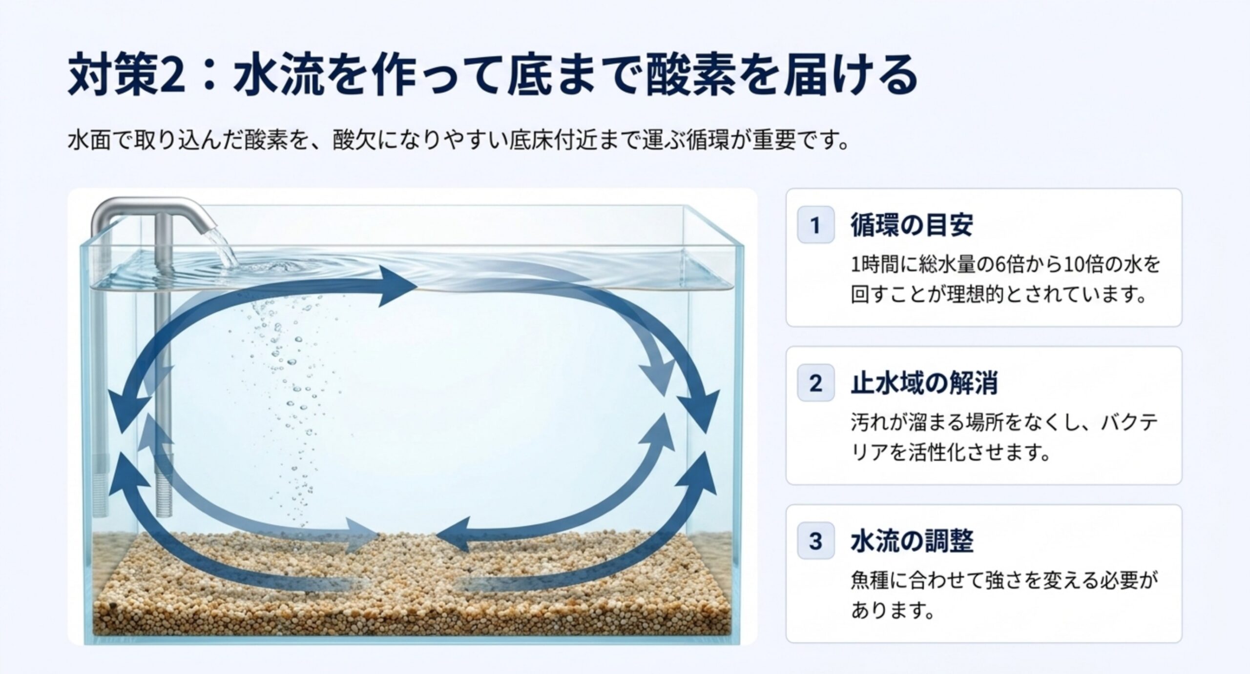 酸素を全層へ回す水流設計 水槽内の水が循環して底床付近まで酸素が届く流れを矢印で示し、循環量の目安と水流調整の注意をまとめたスライド