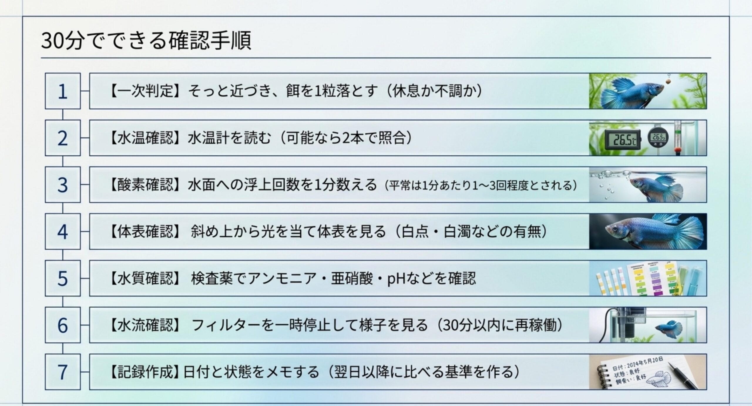 餌への反応の確認から水温・酸素・体表・水質・水流の点検、記録作成までの7つの手順を番号順に並べたスライド