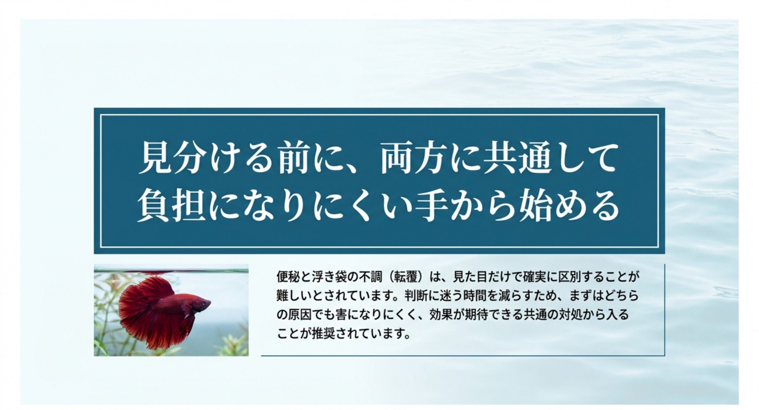 便秘と浮き袋の不調は見た目だけで確実に区別しにくいため、どちらでも害になりにくい共通の対処から入ることを示した図