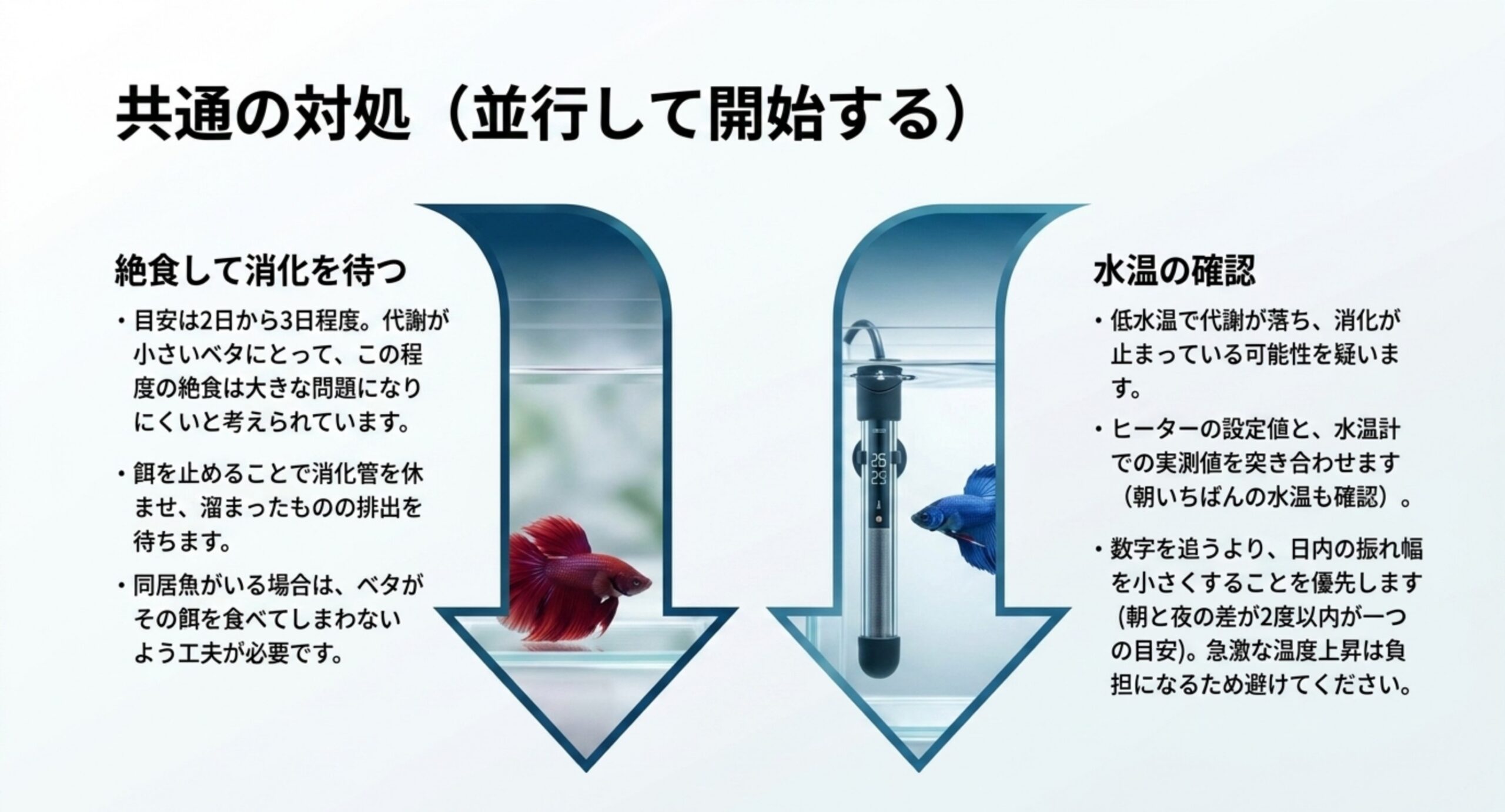 絶食は2日から3日程度を目安にすること、水温は実測と設定を突き合わせ日内の振れ幅を小さくすることを並べた図