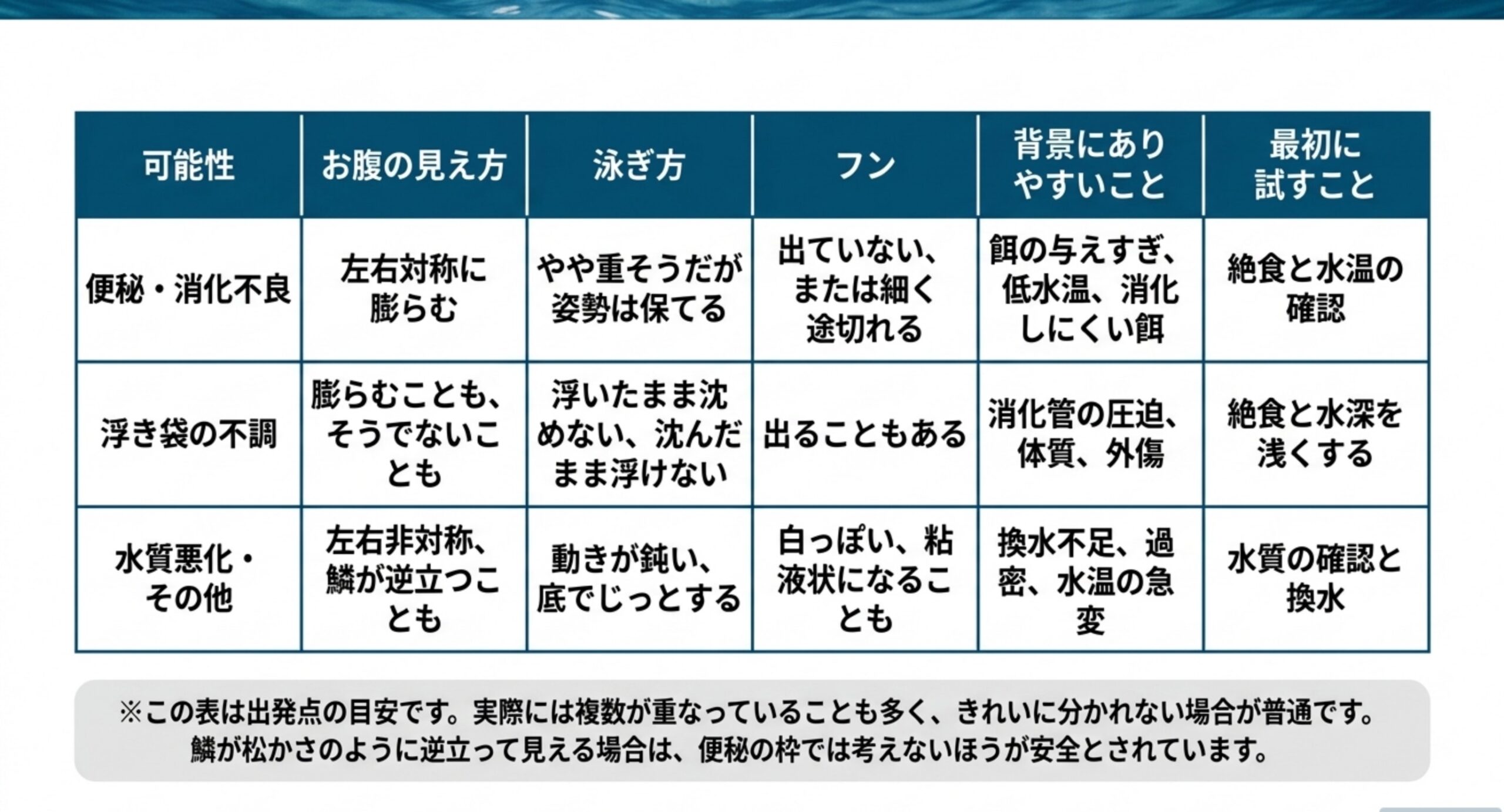 便秘・消化不良、浮き袋の不調、水質悪化について、お腹の見え方、泳ぎ方、フン、背景、最初に試すことを比べた表