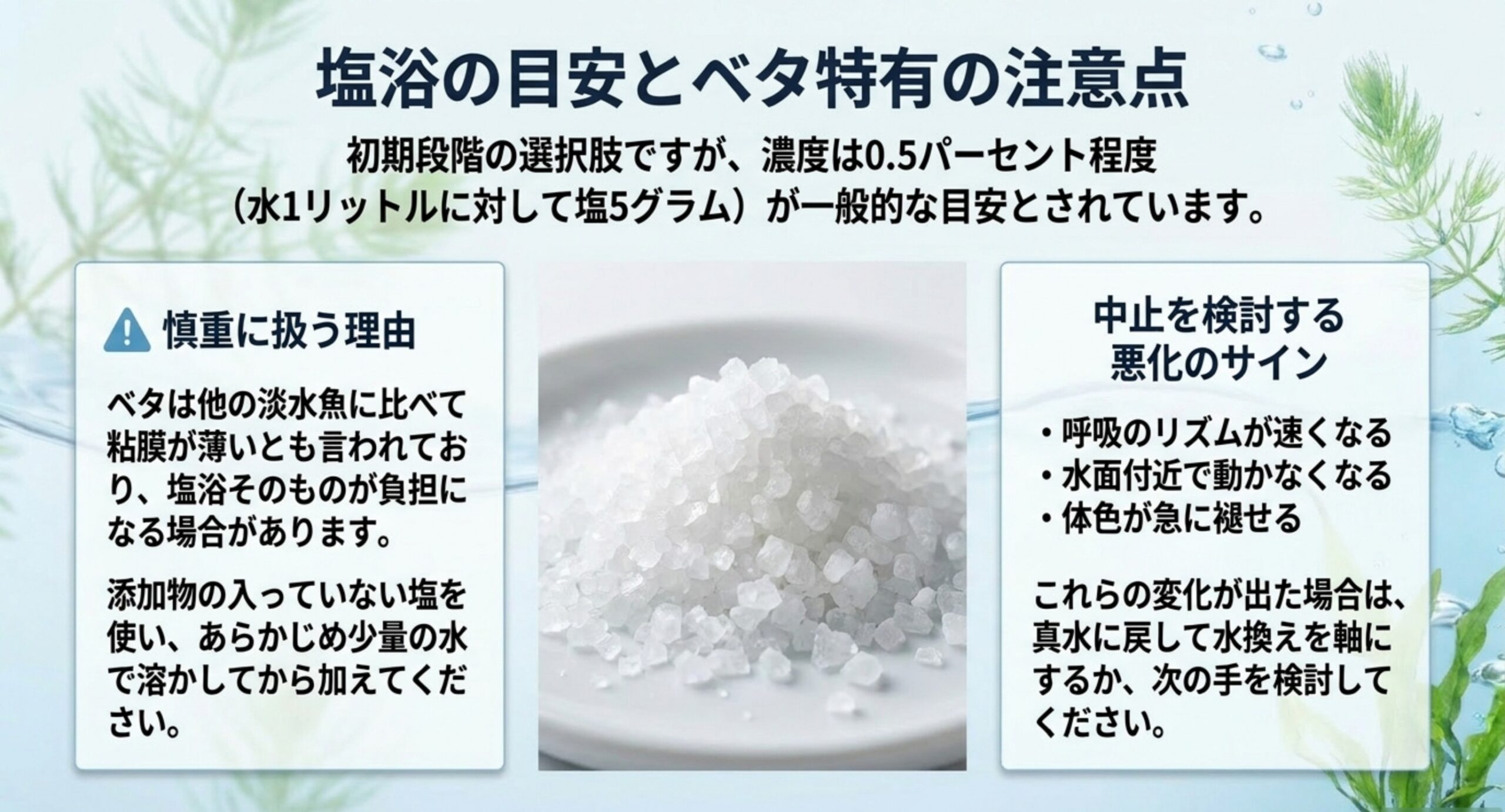 塩浴の濃度の目安と、ベタで慎重に扱う理由、そして中止を検討する悪化のサインを並べた図