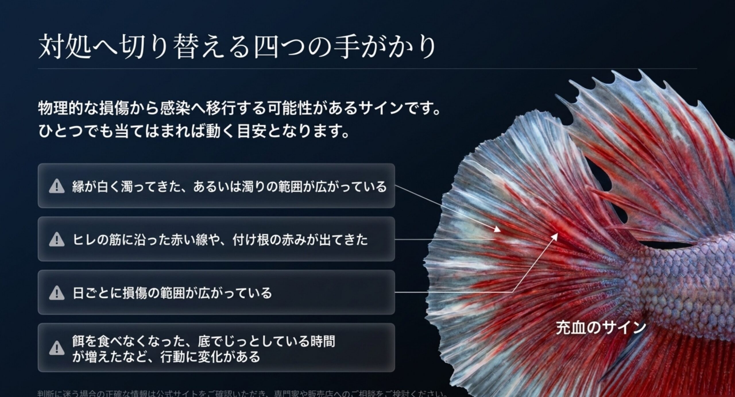 縁の白濁、赤い線や充血、範囲の拡大、行動の変化という様子見をやめる四つのサインを並べた図