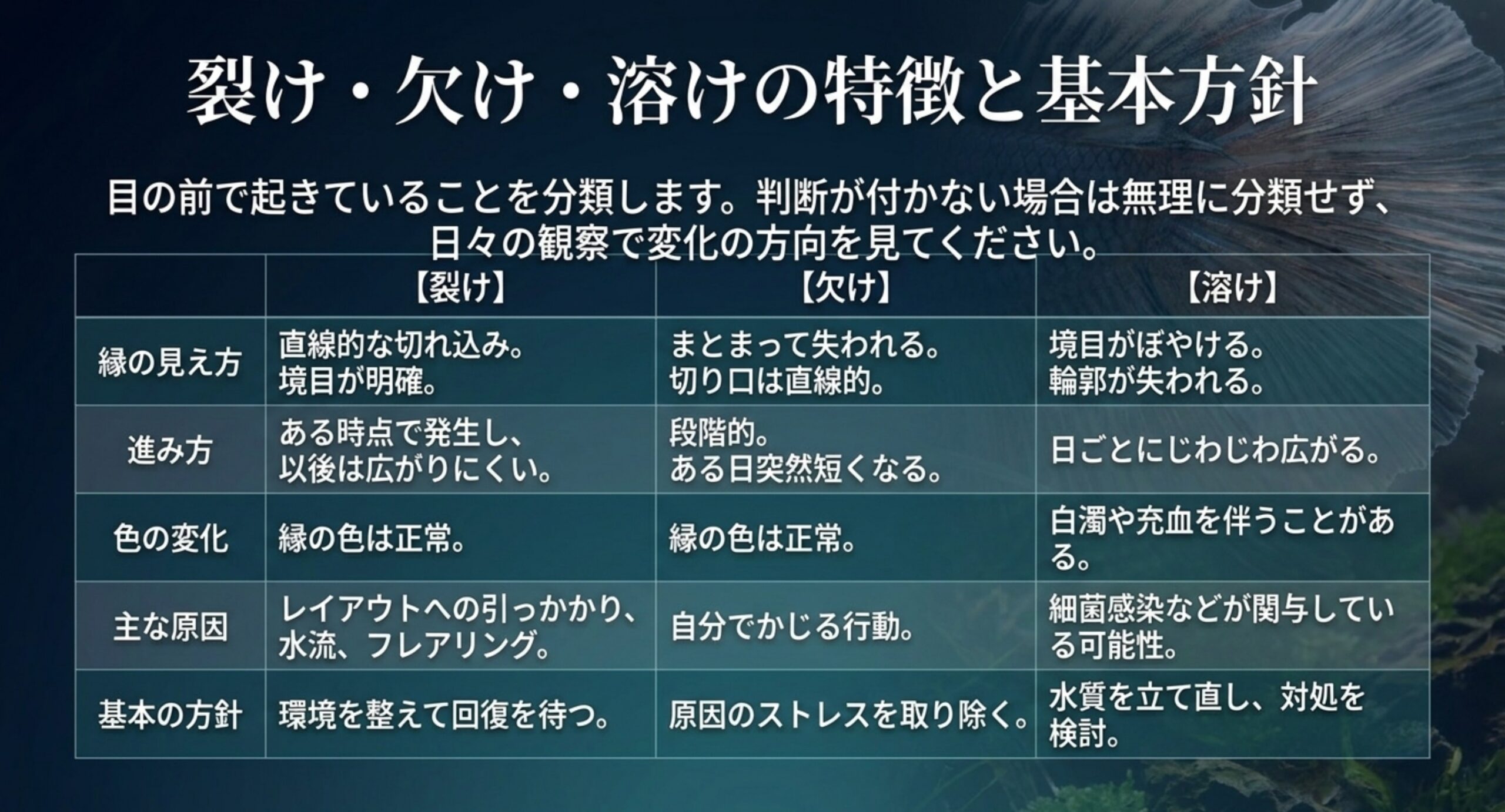 裂け・欠け・溶けについて縁の見え方、進み方、色の変化、主な原因、基本の方針を比べた表