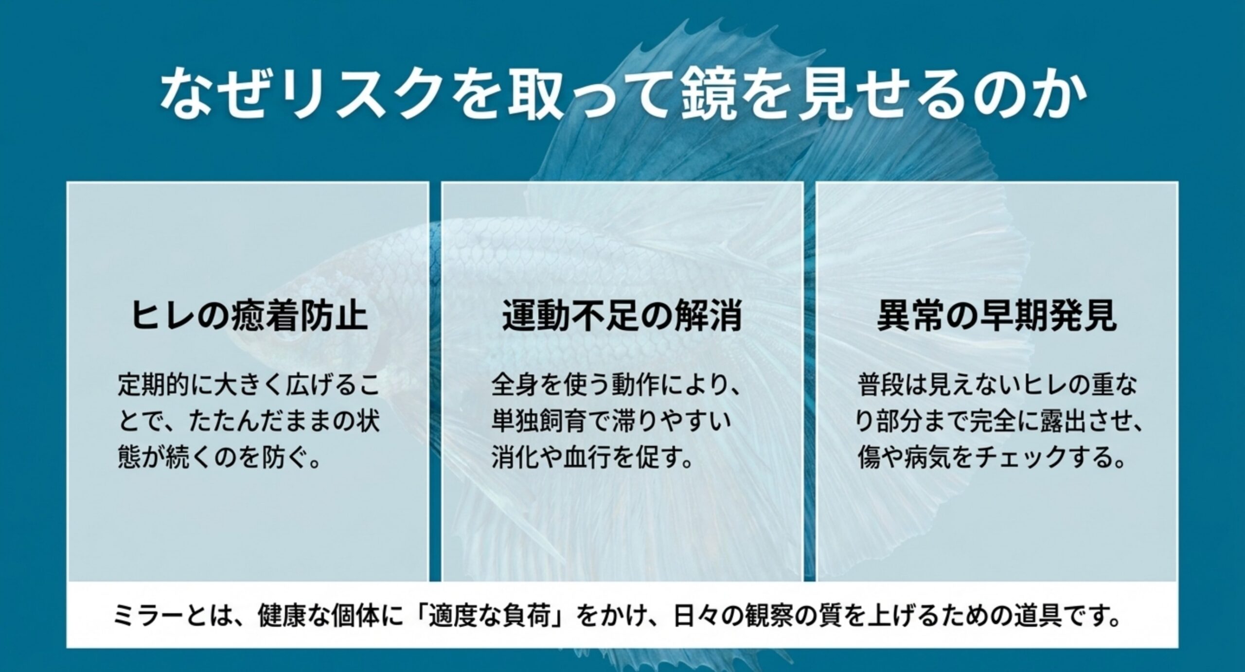 ヒレの癒着防止・運動不足の解消・異常の早期発見という、ベタにミラーを見せることで期待できる3点をまとめた図解スライド