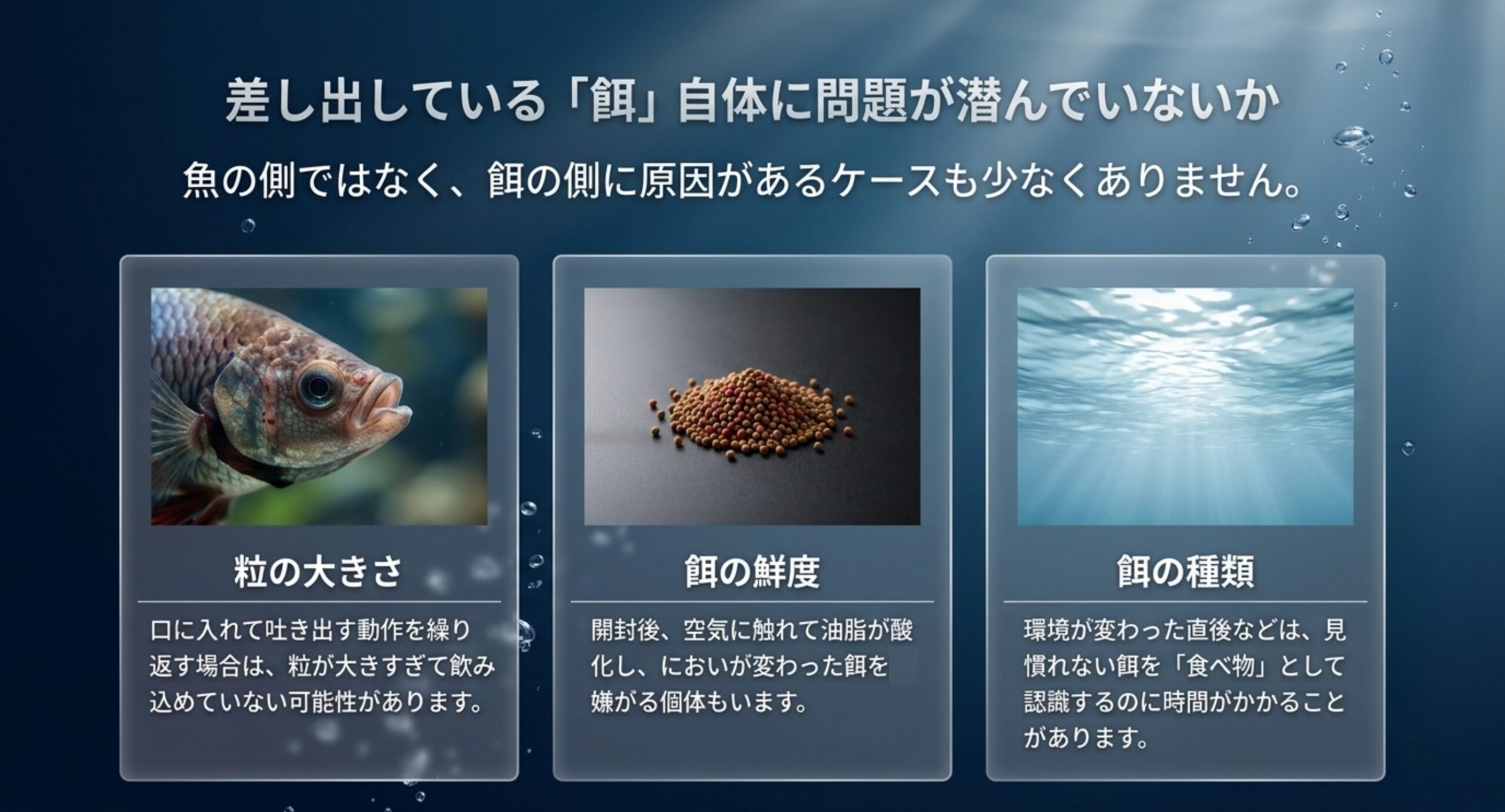 粒の大きさ・餌の鮮度・餌の種類という、餌そのものに潜む3つの原因を写真つきで比較したスライド