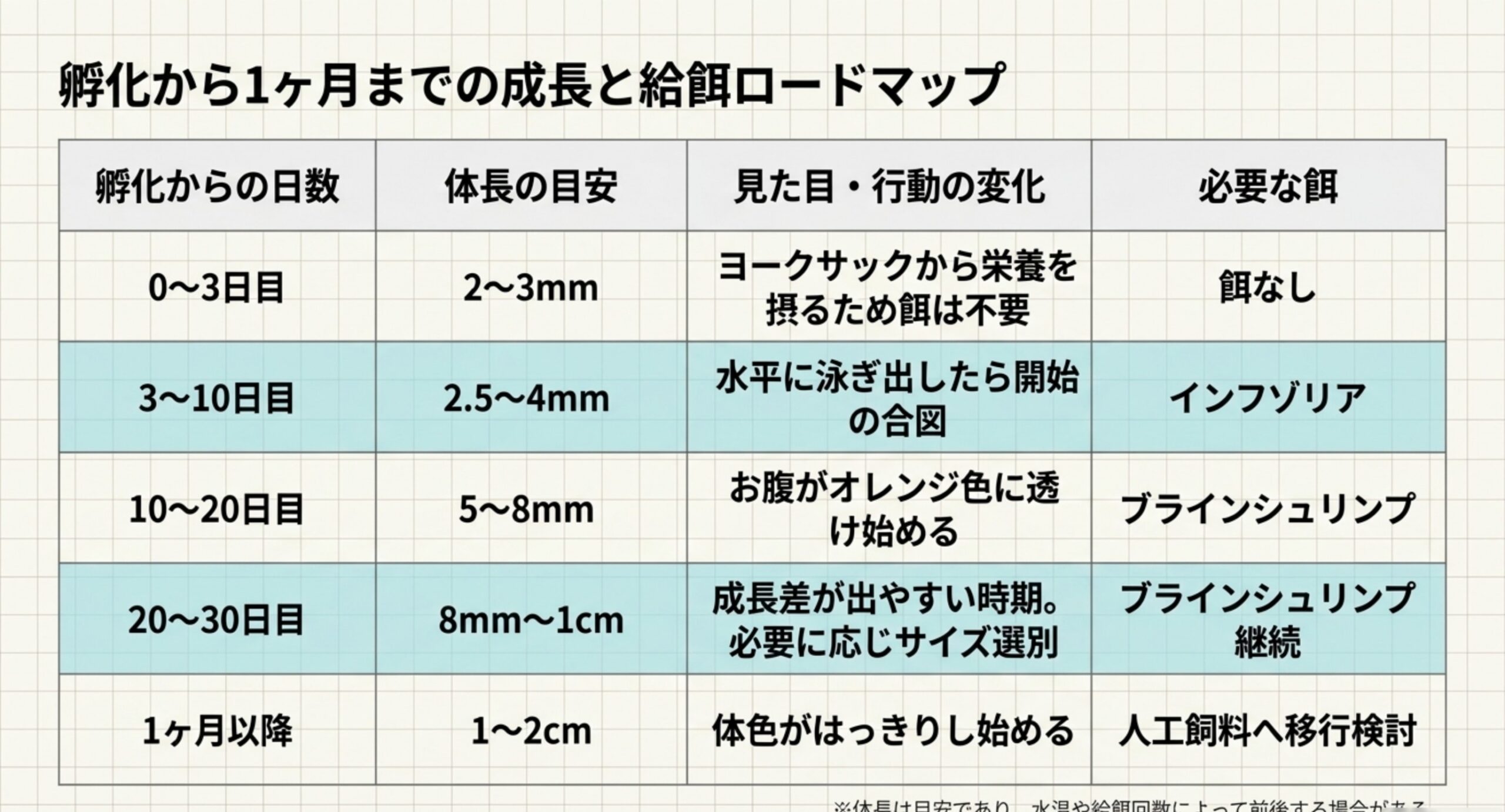 孵化から1ヶ月までのベタ稚魚の成長と給餌ロードマップ 孵化からの日数ごとに、ベタ稚魚の体長の目安・見た目や行動の変化・必要な餌を一覧にした表のスライド