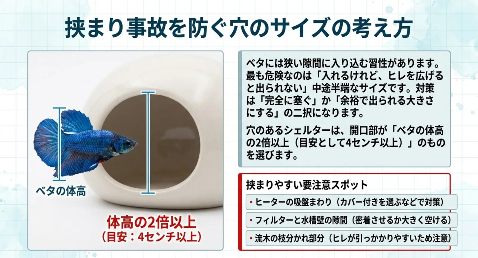 ベタの体高とシェルターの開口部を比較し、体高の二倍以上を目安とすることを示した図