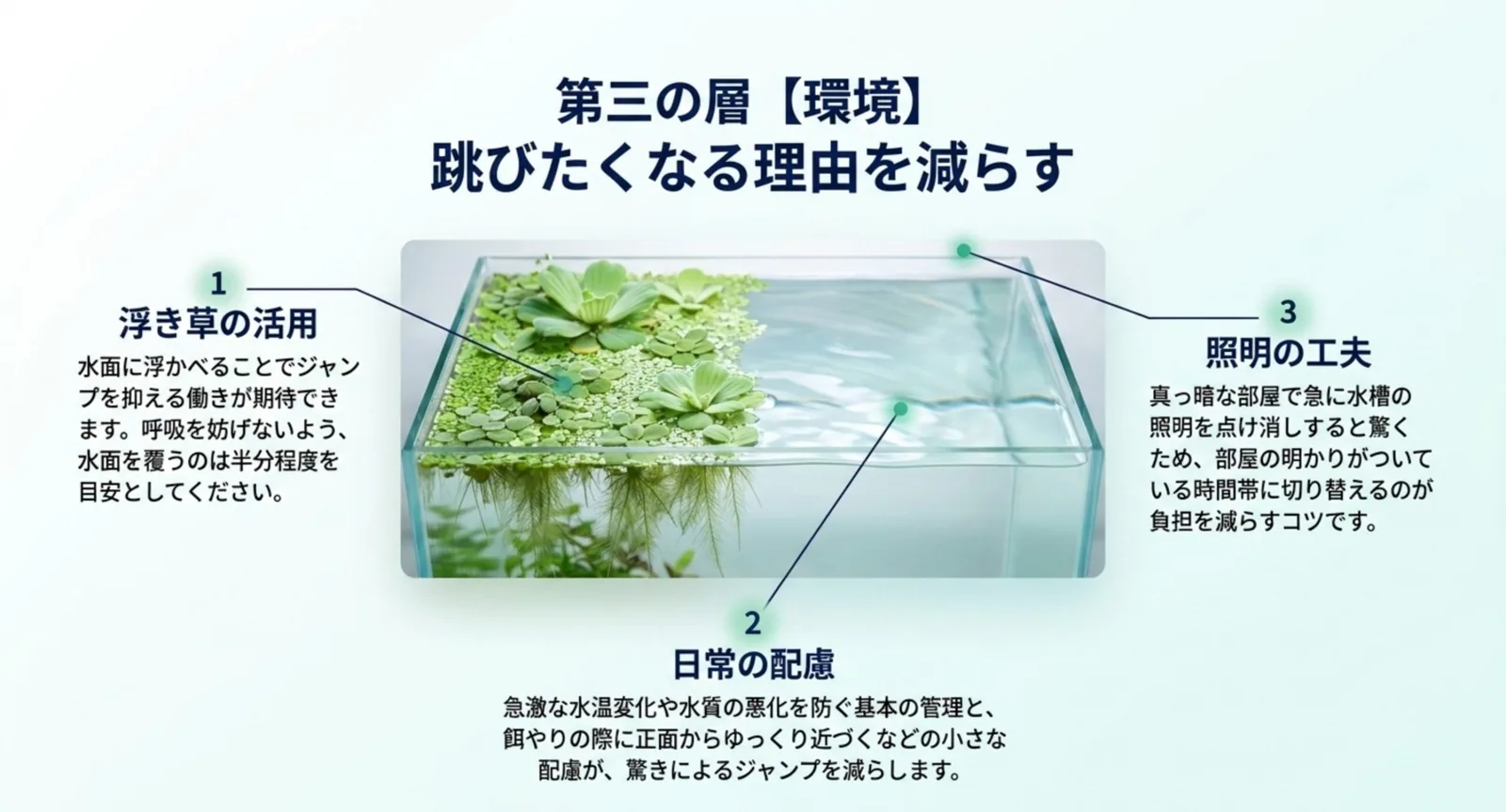 浮き草の活用、日常の配慮、照明の工夫という環境面の三つの対策を水槽の図に沿えて示した図