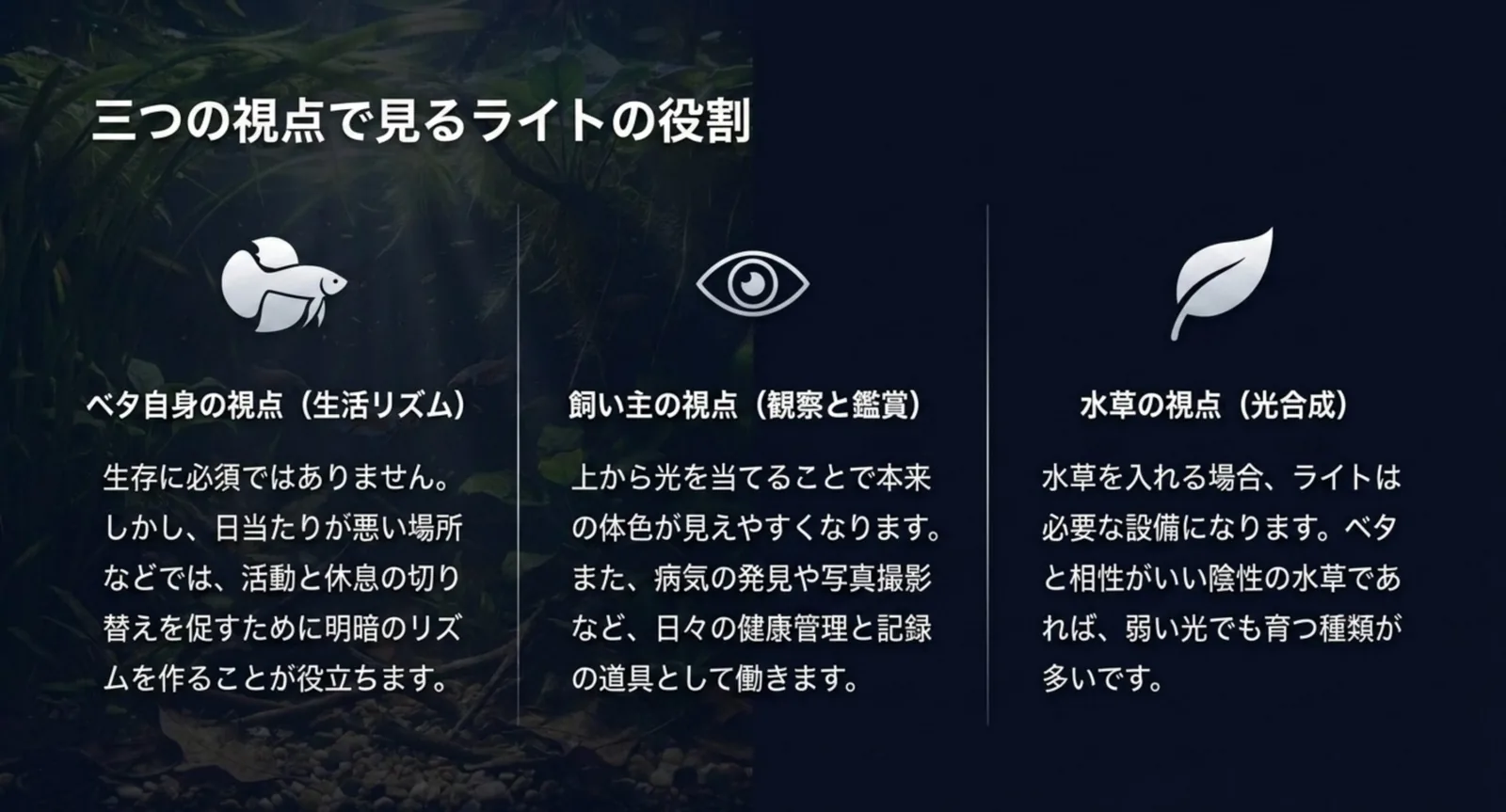 ベタ自身、飼い主、水草という三つの視点でライトの必要性を整理した図