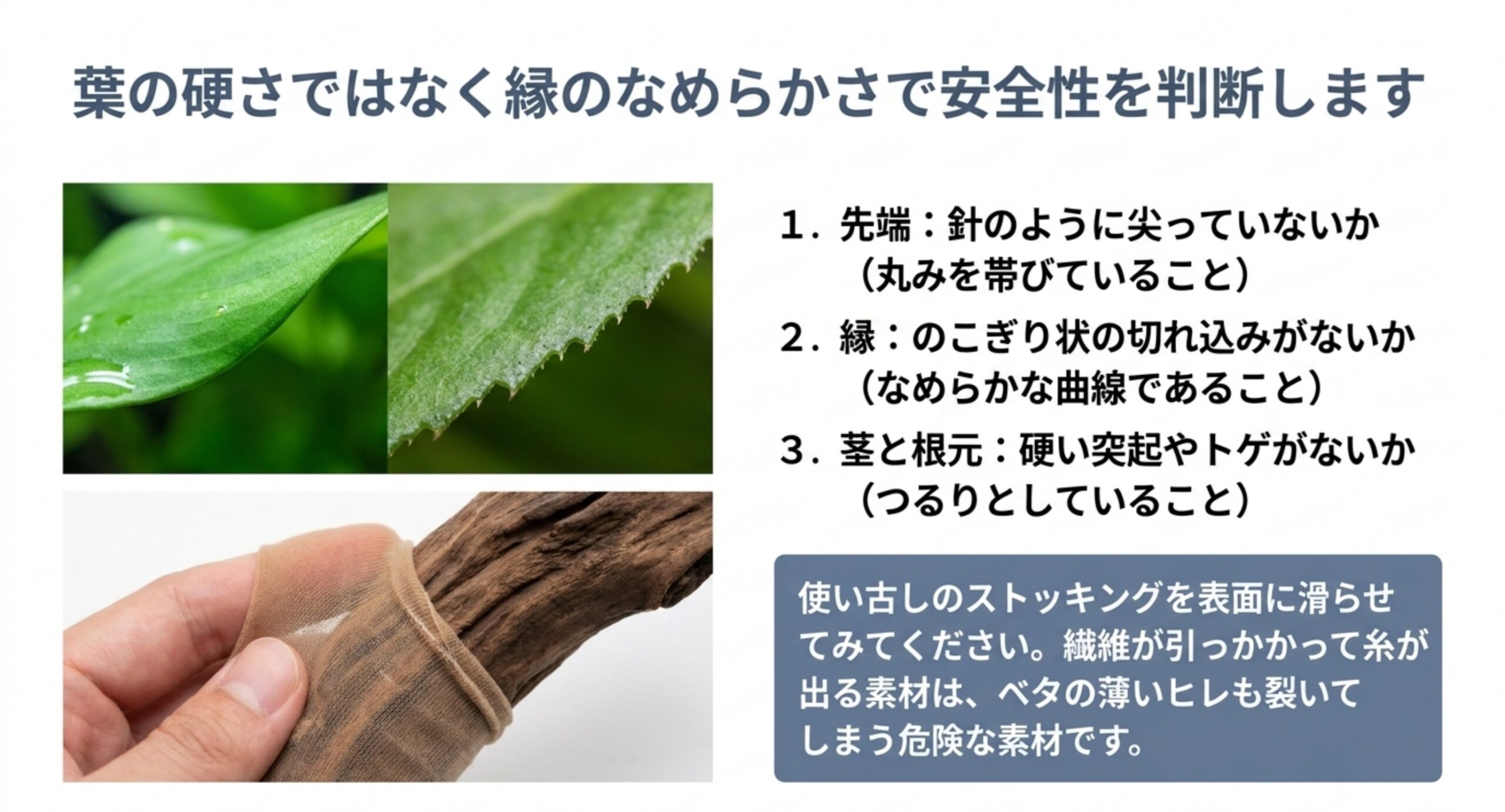 なめらかな葉とのこぎり状の葉の拡大写真に、先端・縁・茎の3つのチェック項目とストッキングでの確認方法を添えた図解スライド