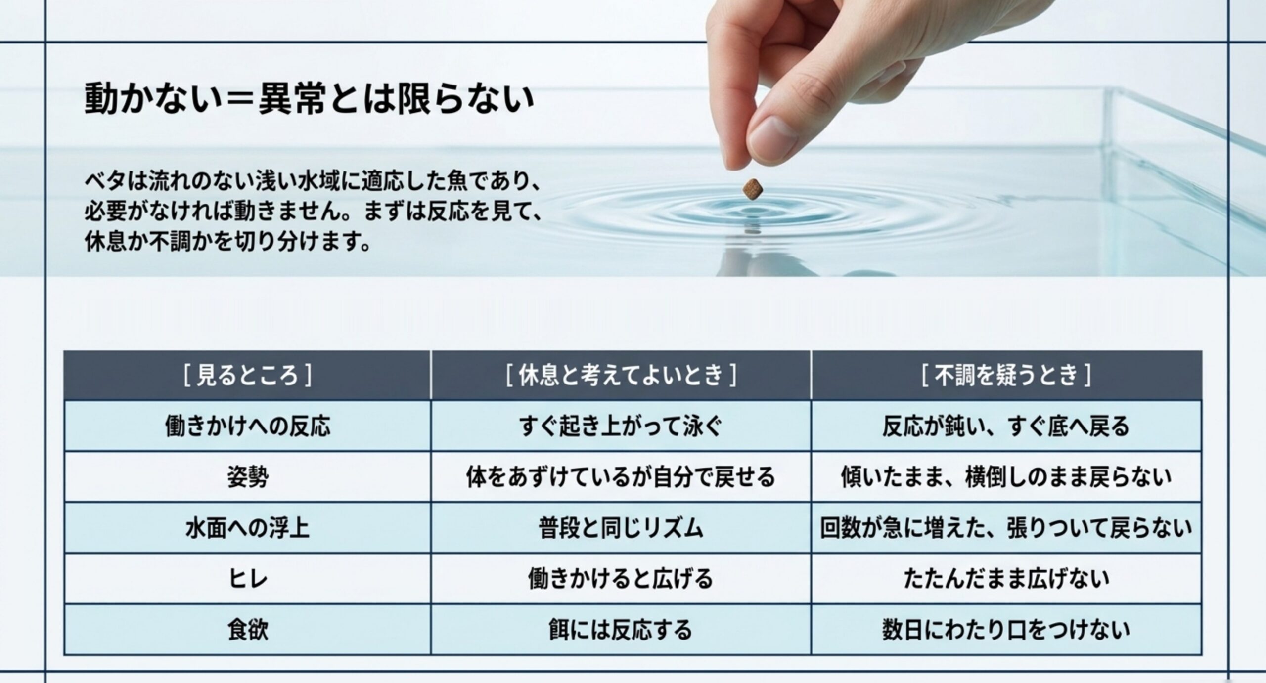 働きかけへの反応・姿勢・水面への浮上・ヒレ・食欲の5項目で、休息と不調を見分ける比較表のスライド