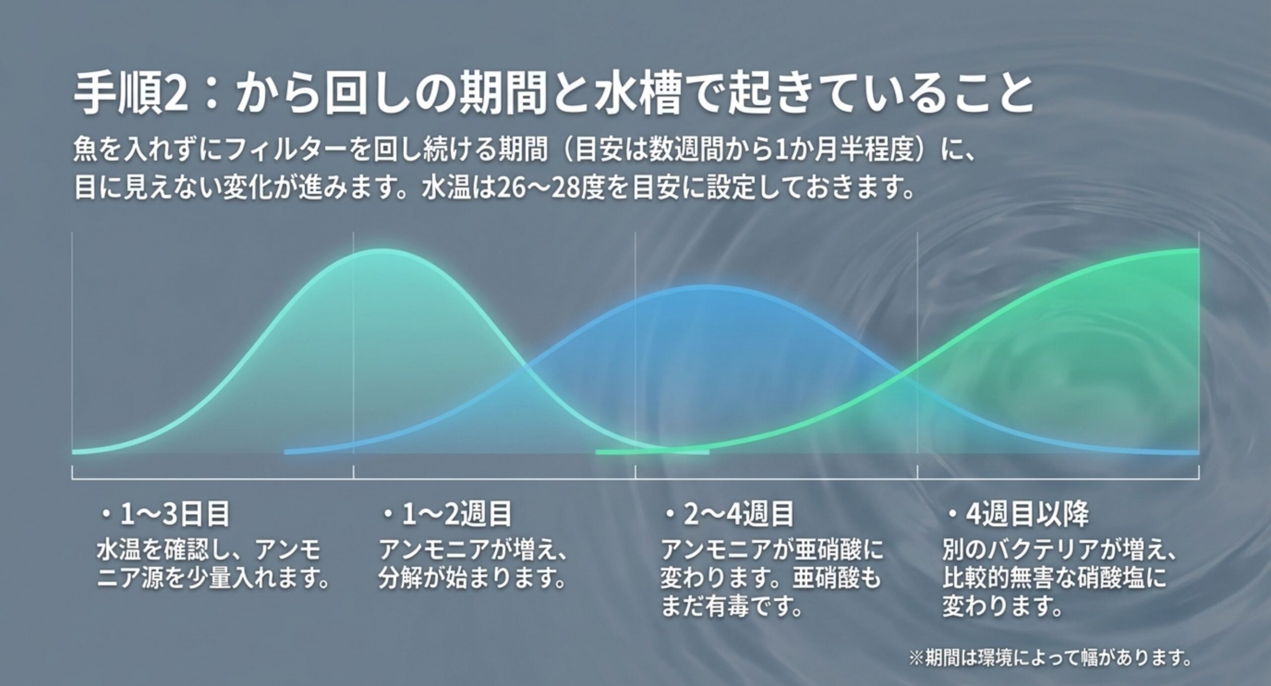 アンモニアから亜硝酸、硝酸塩へと移り変わる推移を重ねた曲線で示し、1〜3日目から4週目以降までの時期ごとにやることを並べたスライド