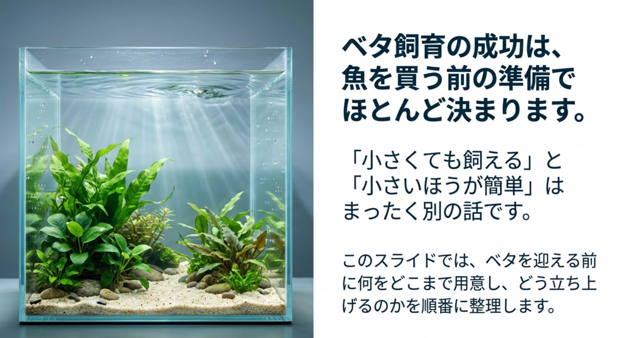 水草を植えた小型キューブ水槽の写真とともに、小さくても飼えることと小さいほうが簡単であることは別だと示したスライド