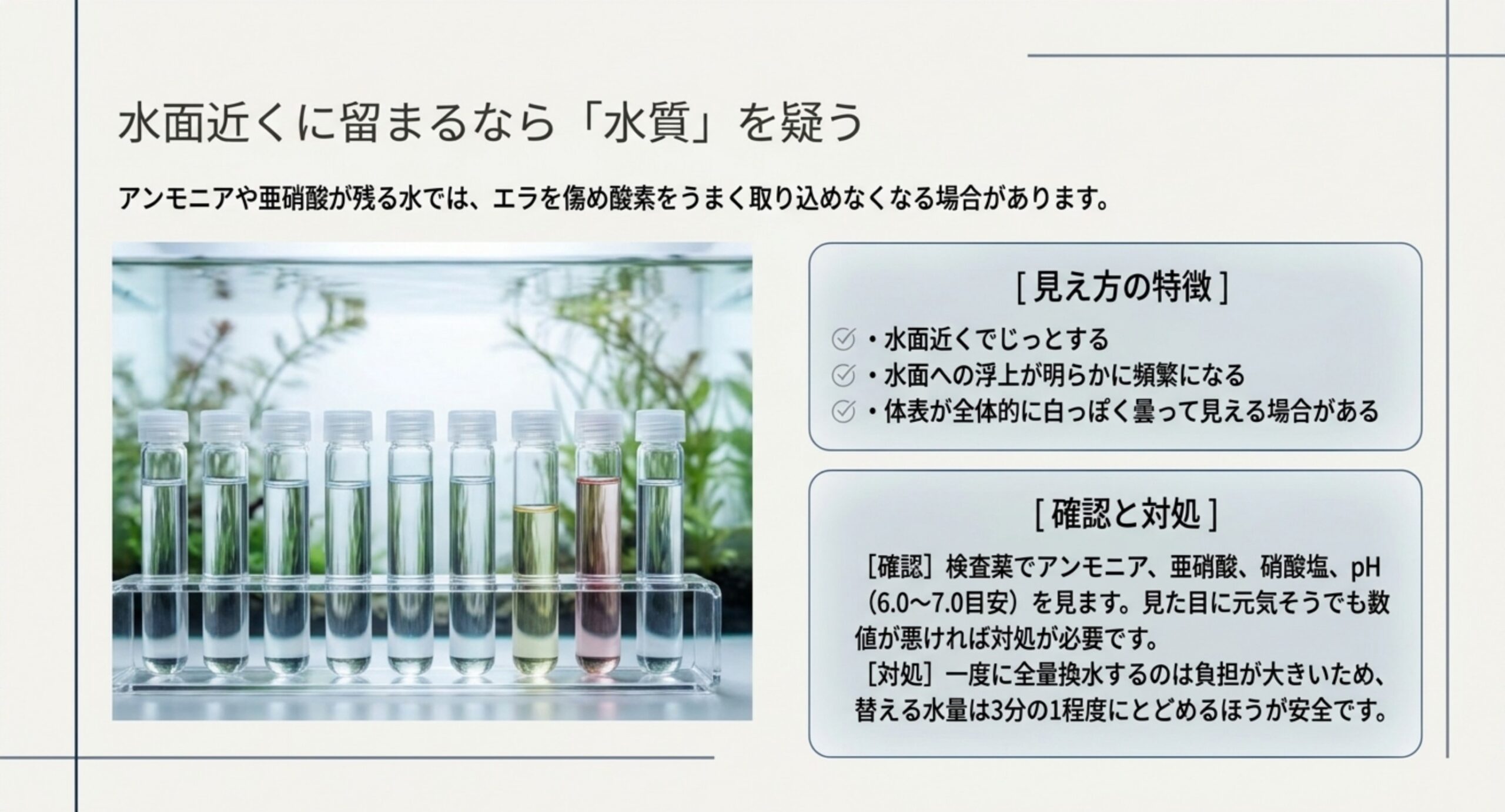 検査薬の試験管が並ぶ写真とともに、水質悪化のときの見え方の特徴と確認・対処の方法をまとめたスライド