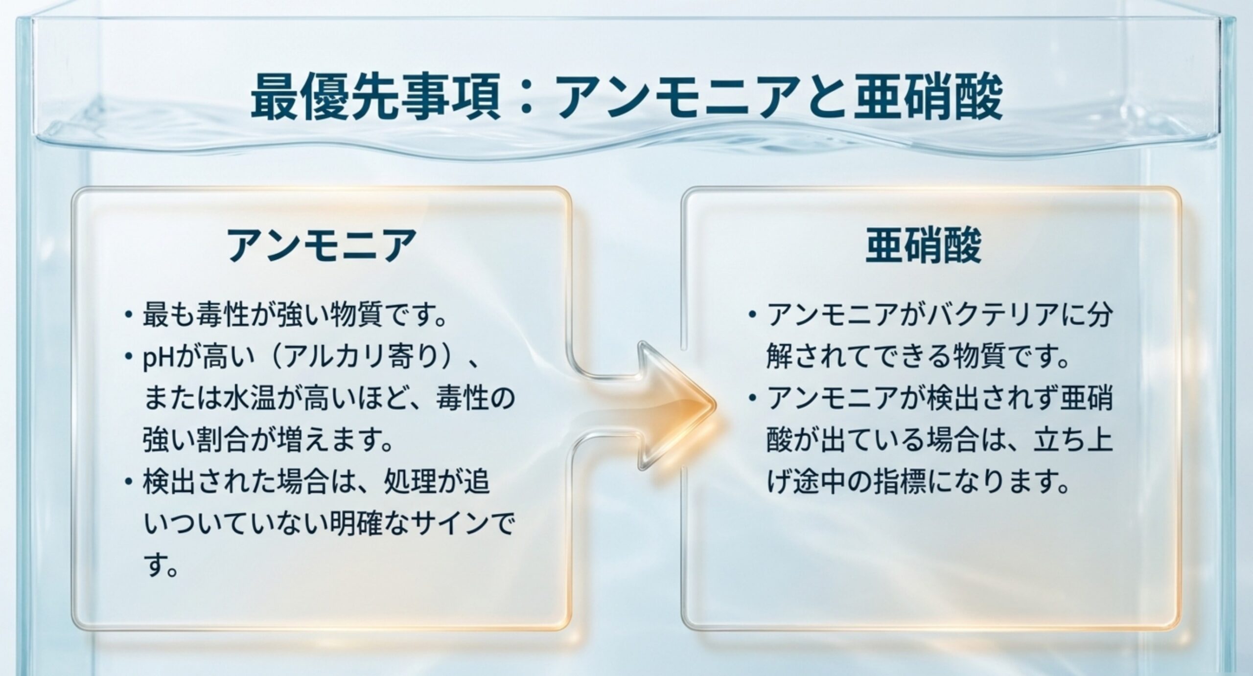 アンモニアが最も毒性が強くpHや水温で毒性の割合が変わること、亜硝酸はアンモニアが分解されてできる物質であることを矢印でつないだスライド