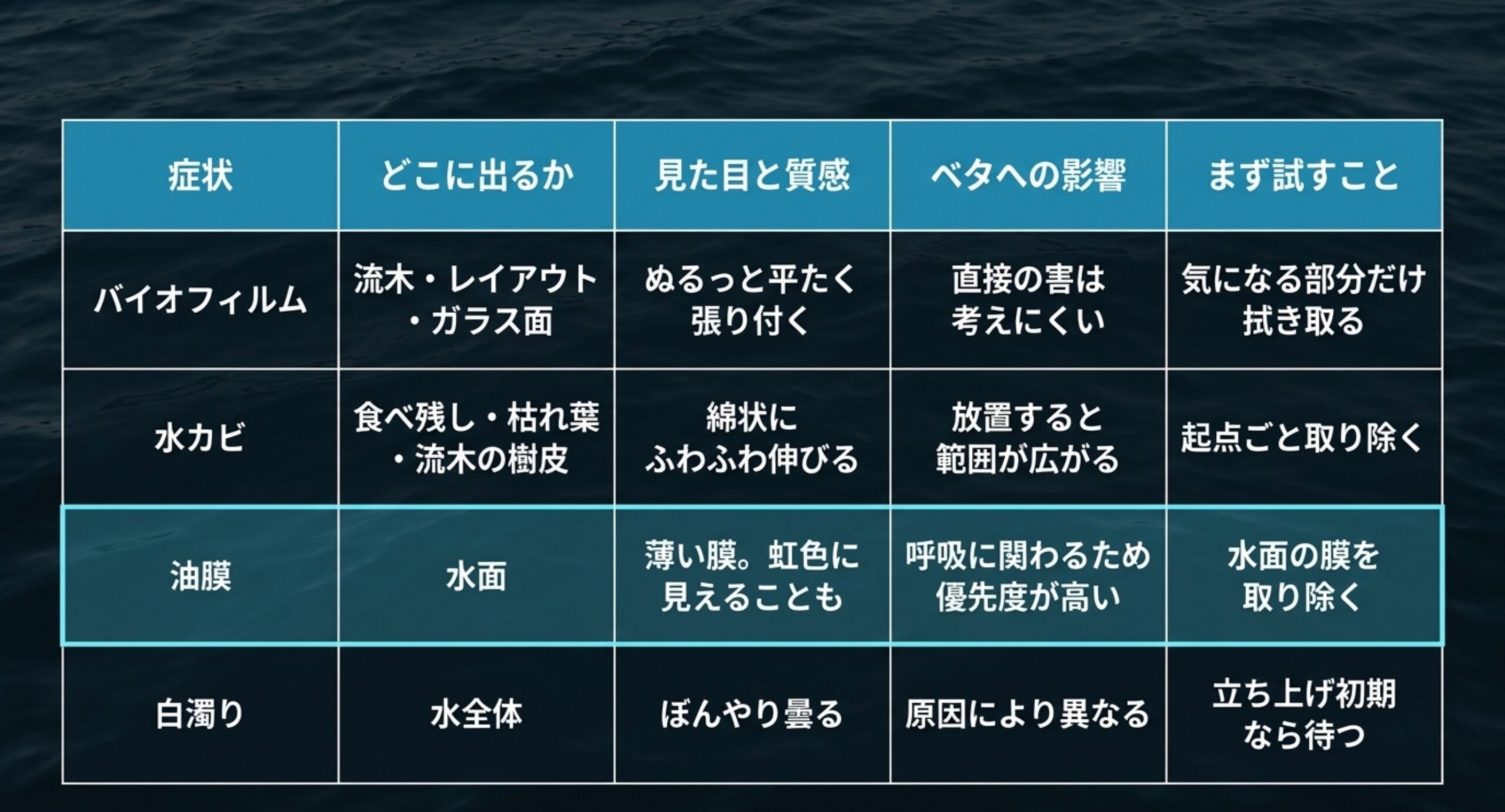 バイオフィルム、水カビ、油膜、白濁りについて出る場所、見た目と質感、ベタへの影響、まず試すことを比べた表
