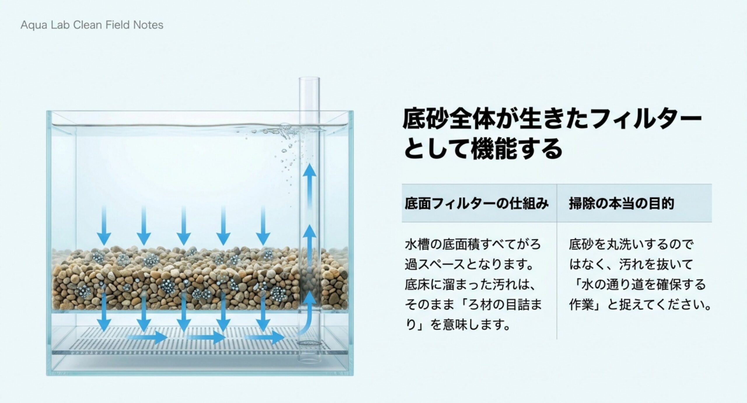 底面フィルターでは底砂全体がろ材として働き、掃除は水の通り道を確保する作業であることを図解したスライド